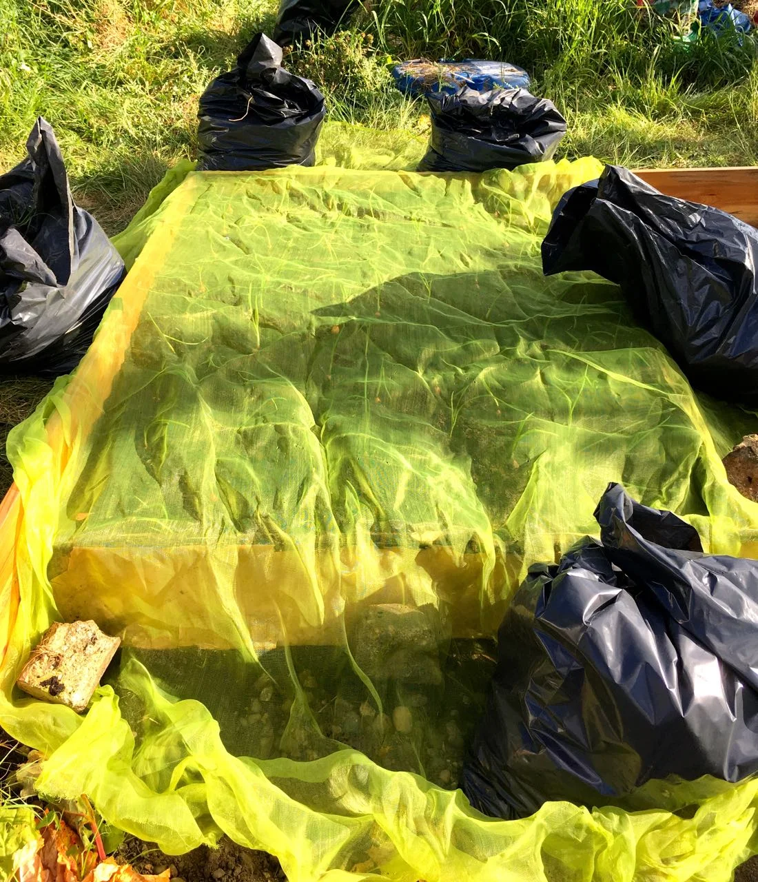 USING THE BLACK SACKS FULL OF WEEDS AS WEIGHTS FOR OUR NETTING