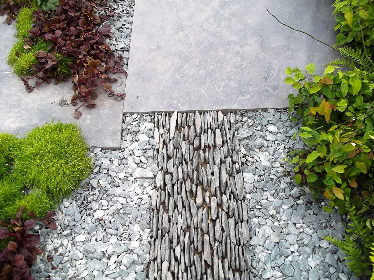 Sean Murray's Great Chelsea Garden Challenge