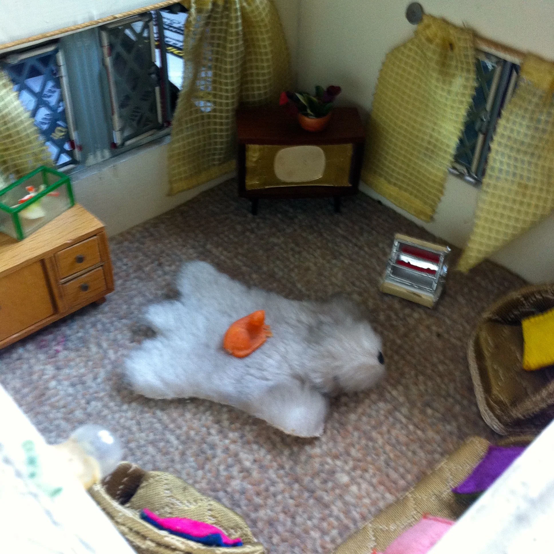 THE CAT REALLY DID SIT ON THE MAT