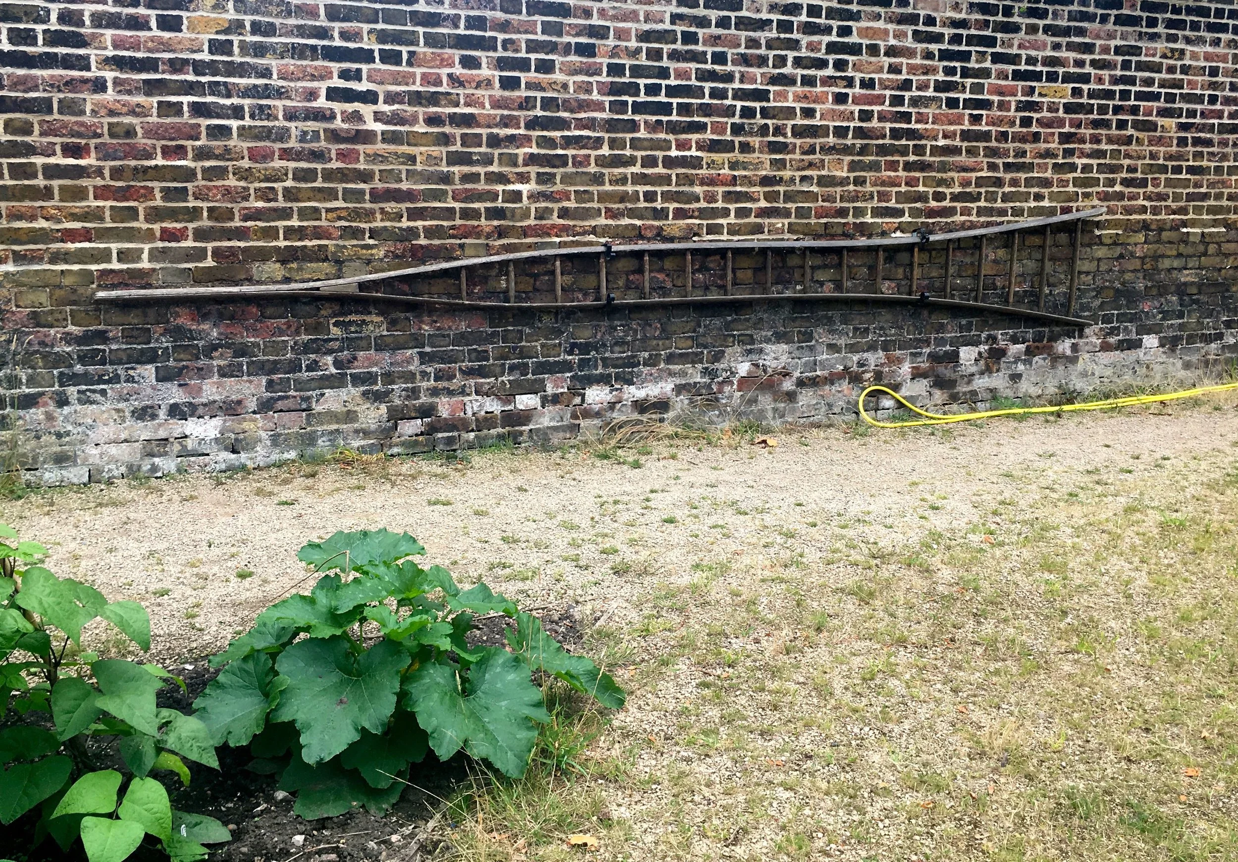 A LADDER FIT FOR AN ORCHARD