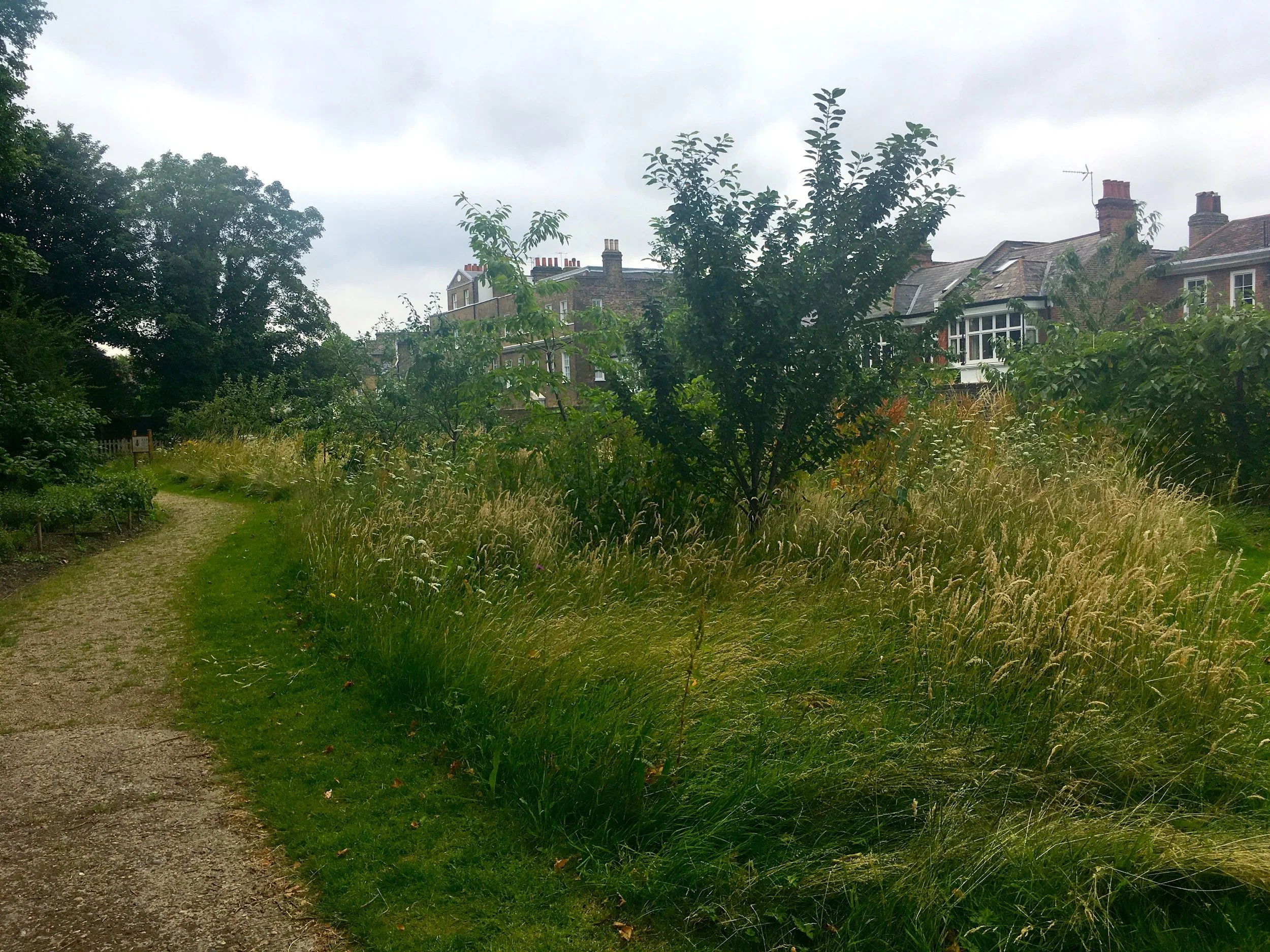 LED AROUND THE GARDEN BY THE WINDING PATH