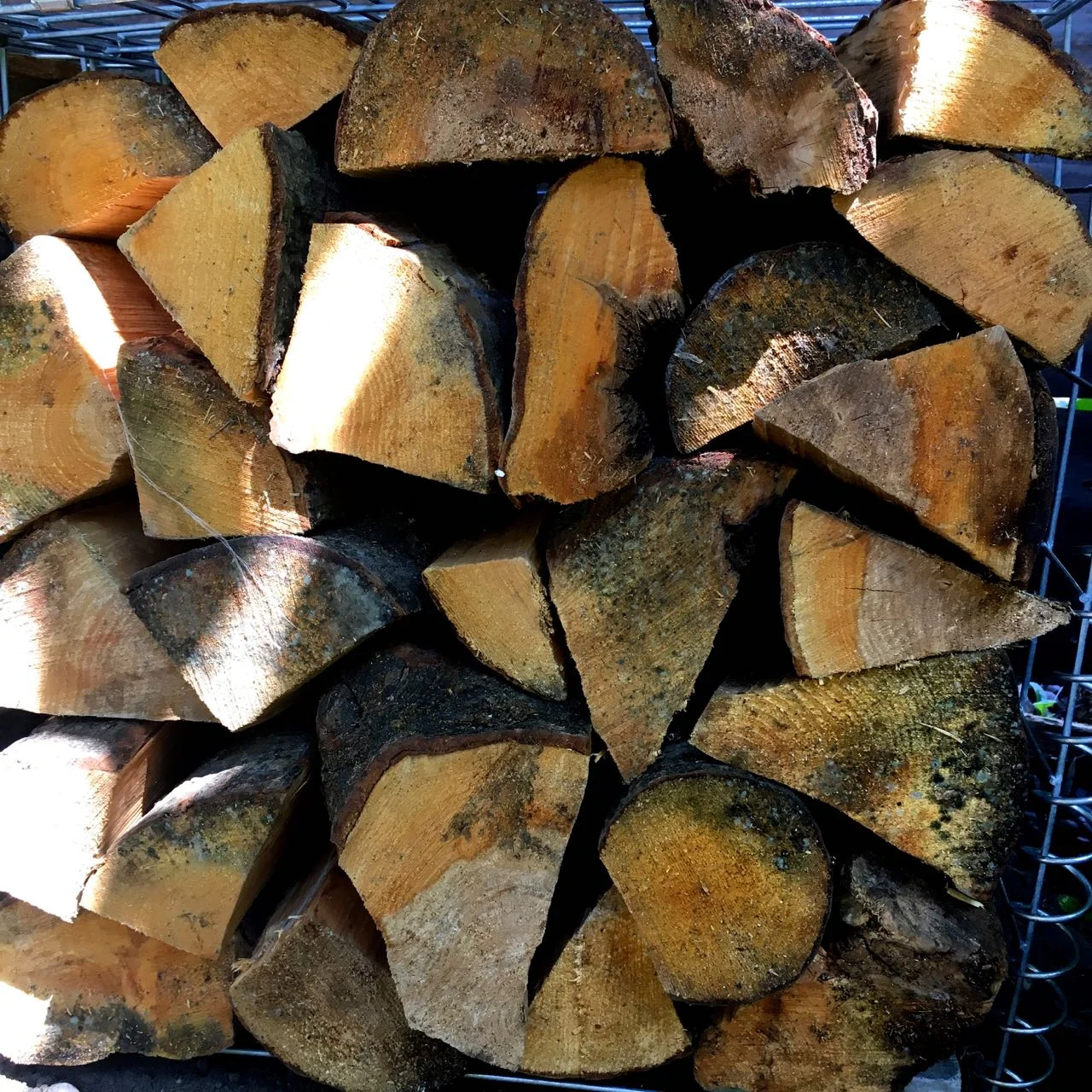 Storing logs in our gabion baskets