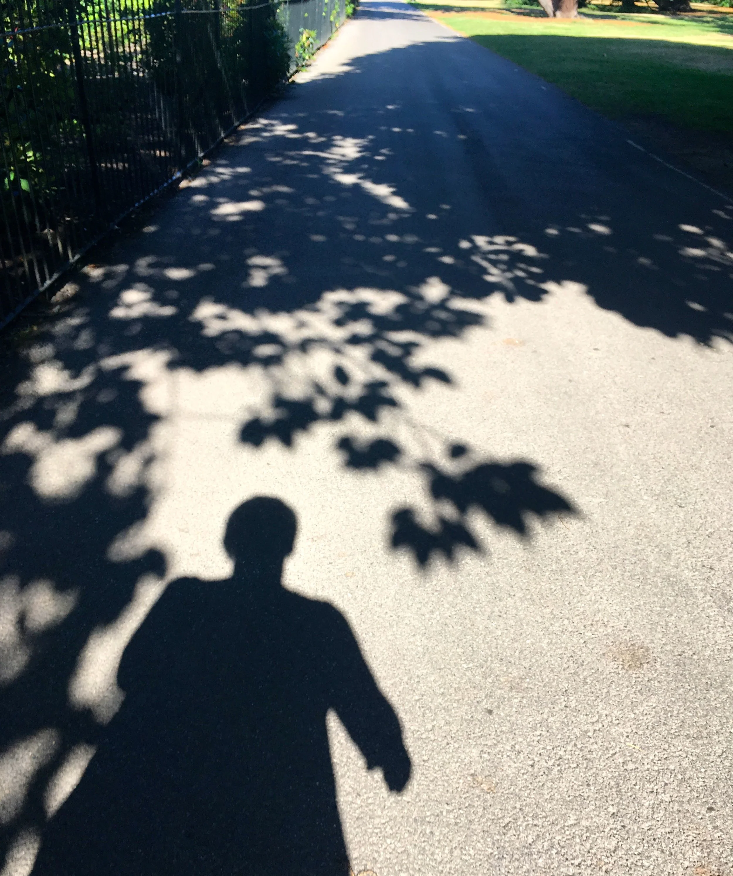 (Not quite) dancing with my shadow in Greenwich Park