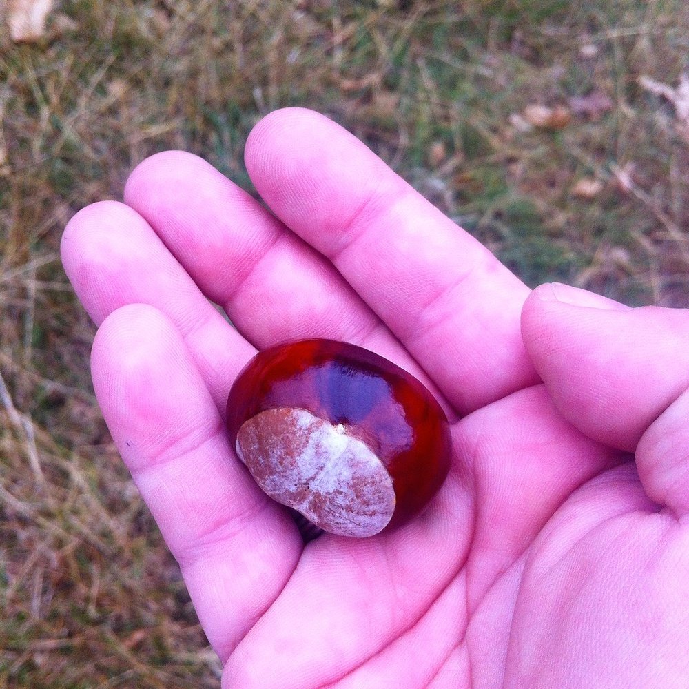 SEPTEMBER: CONKERS!