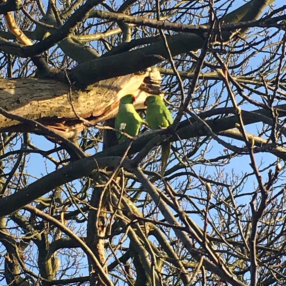 APRIL: AND SO DOES THE WILDLIFE