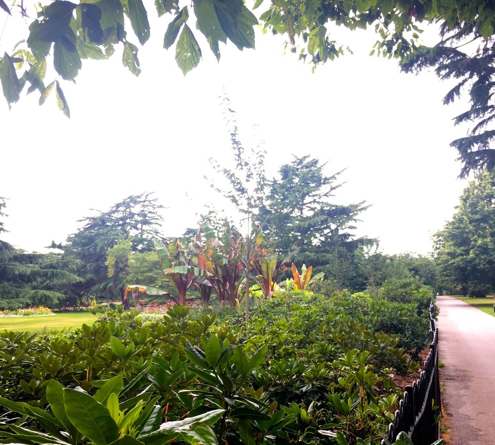 JULY: TURNING RIGHT AT THE BANANAS