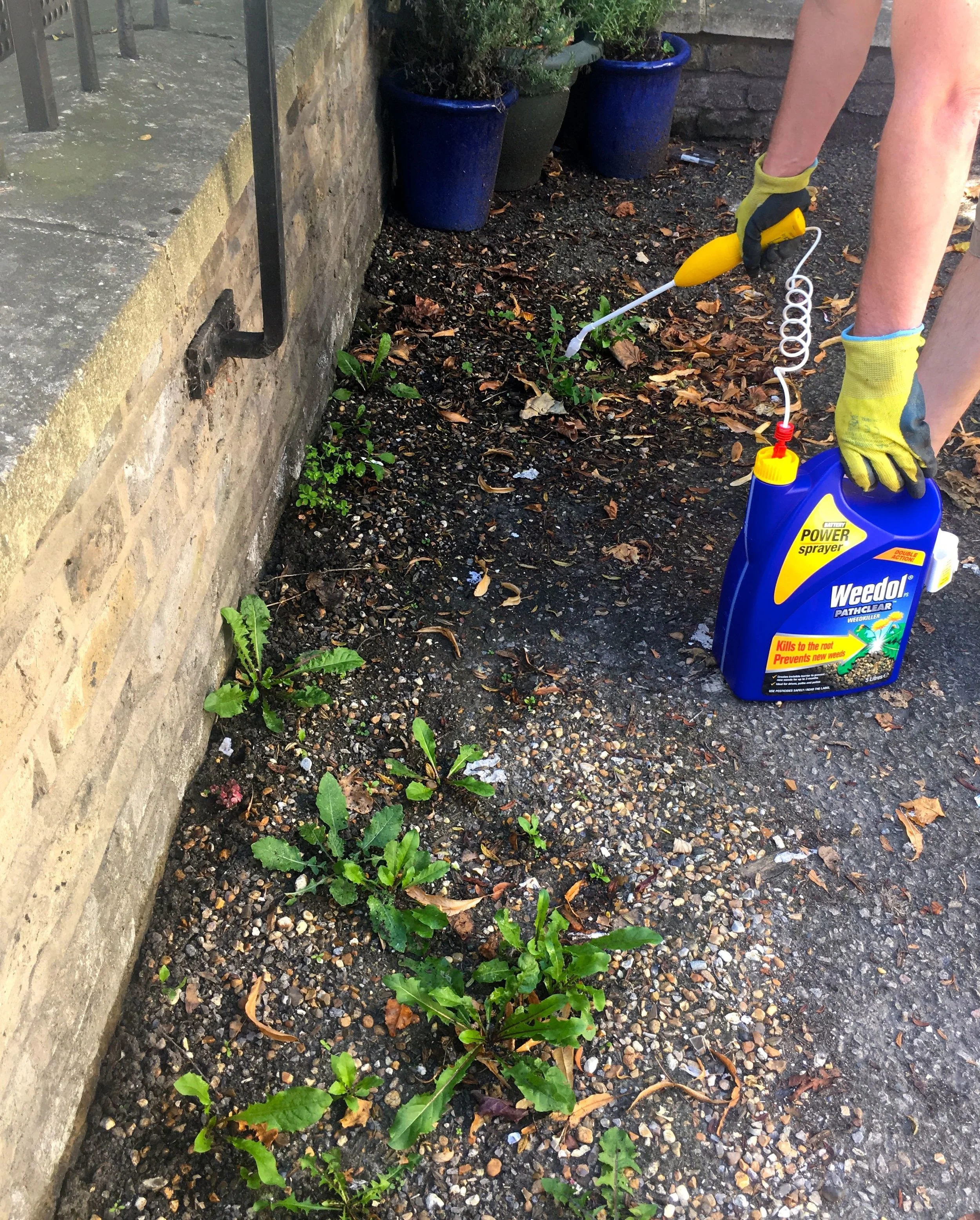 Getting to work blitzing those weeds