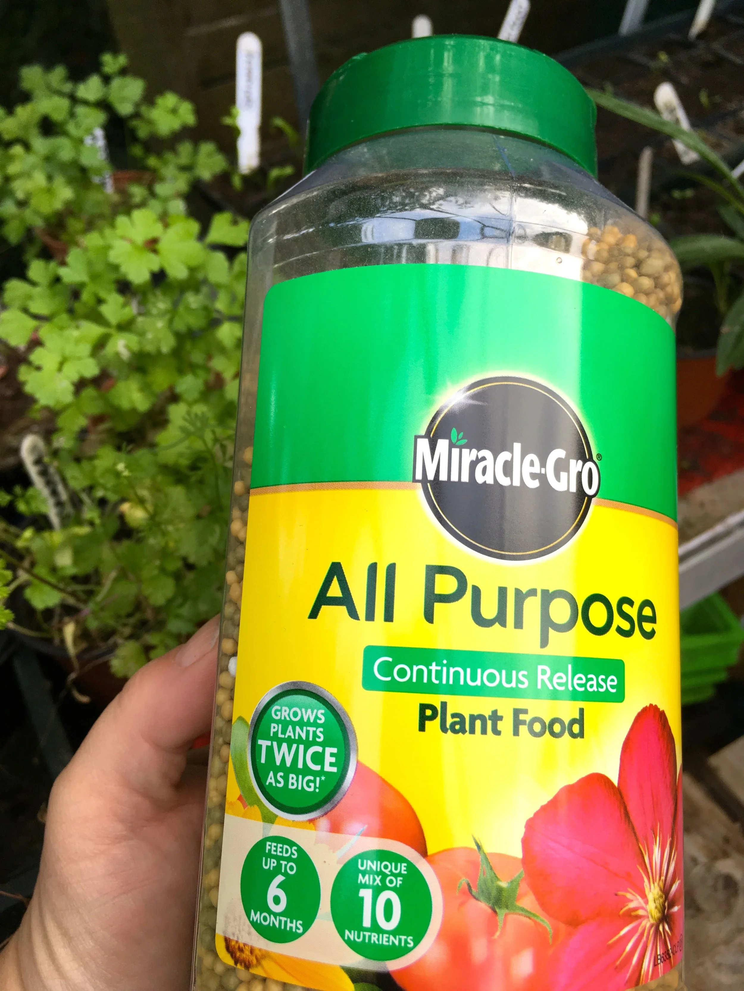 Using Miracle-Gro all purpose plant food in the greenhouse