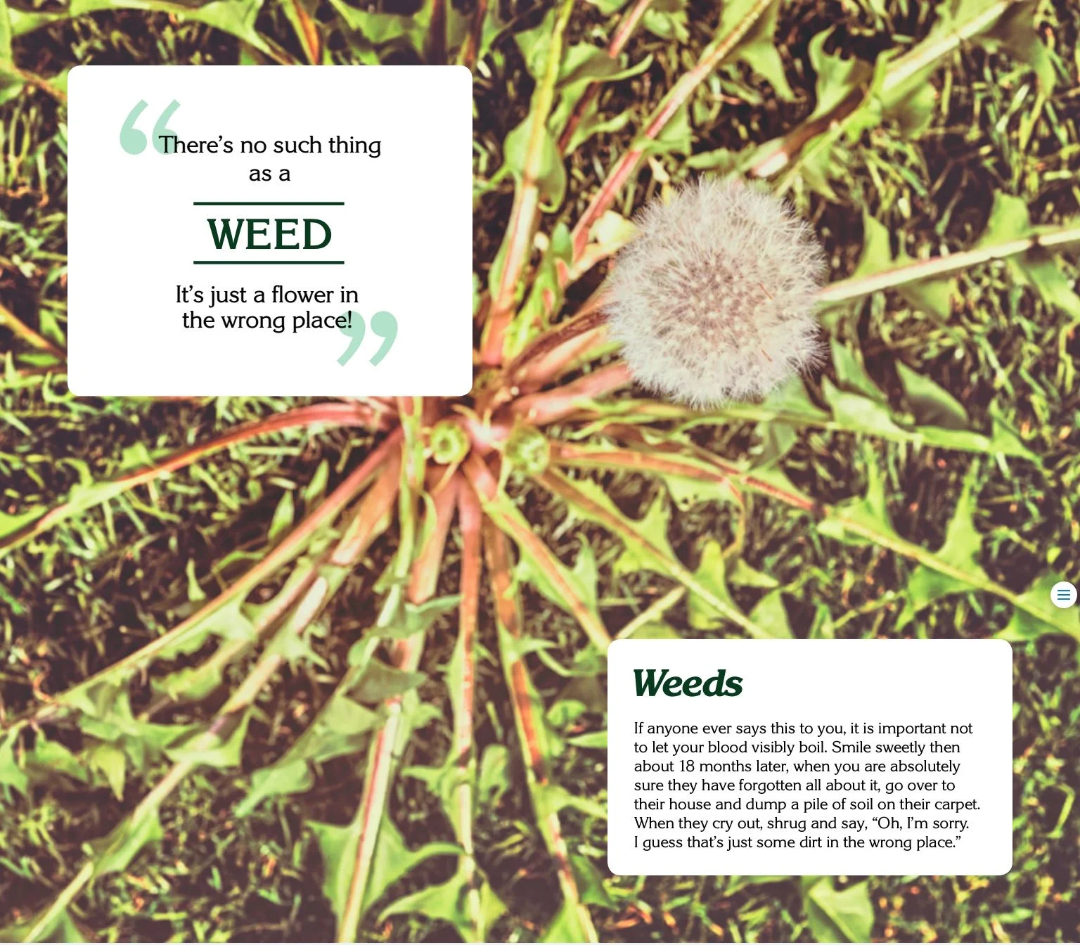 Photo credit: The Extremely Busy and Important Person's Guide to Gardening