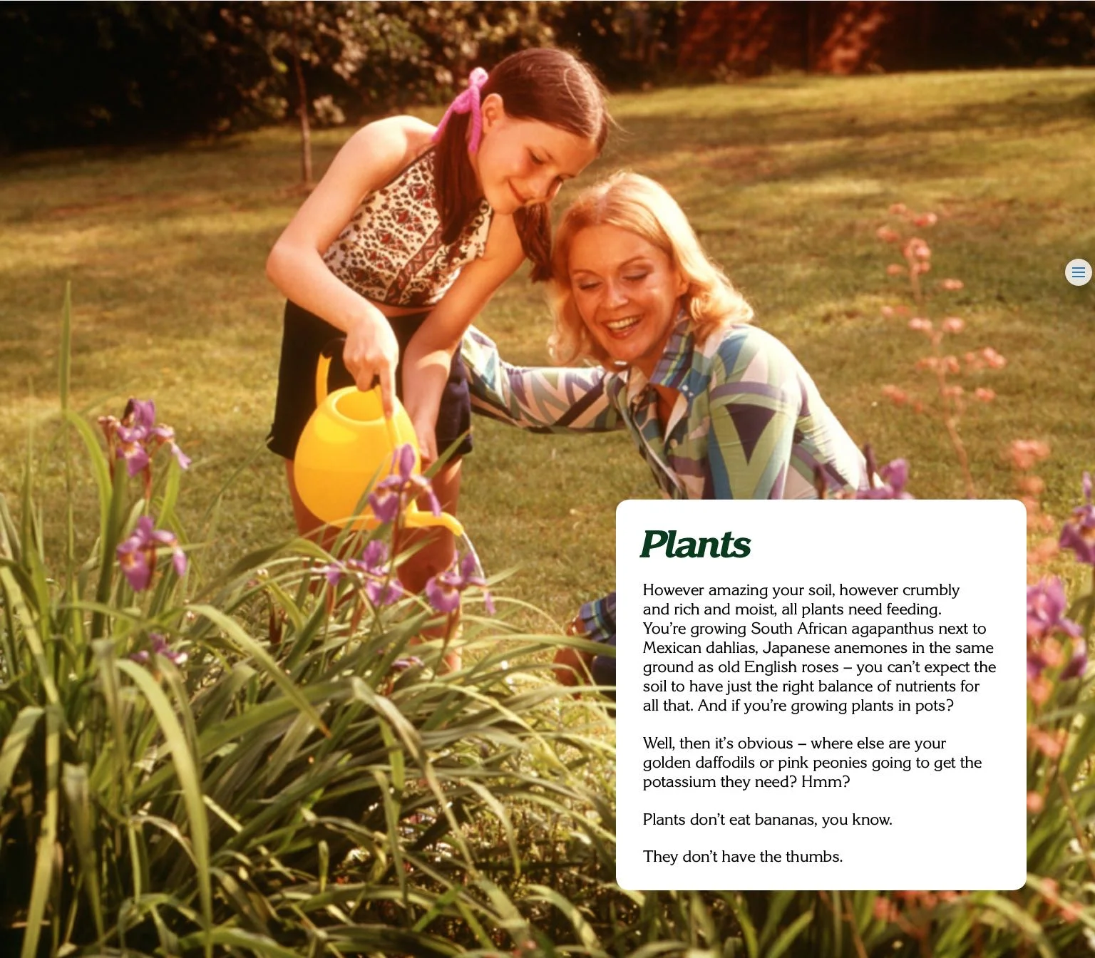 Photo credit: The Extremely Busy and Important Person's Guide to Gardening