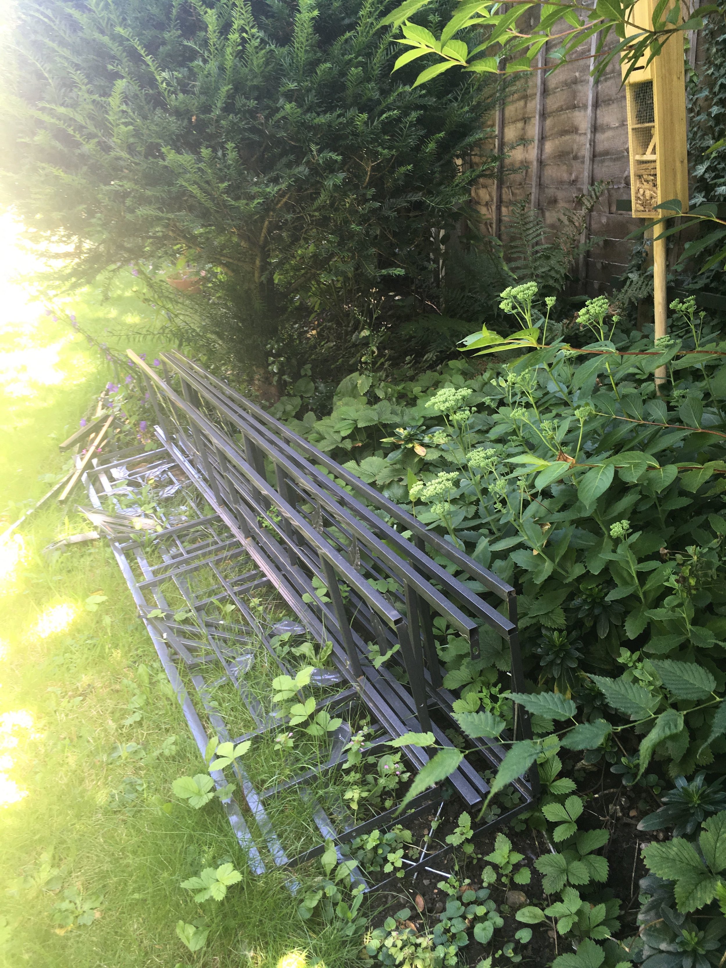 DISMANTLED AND JUST A LITTLE BIT REJECTED (DESPITE THE SUN)
