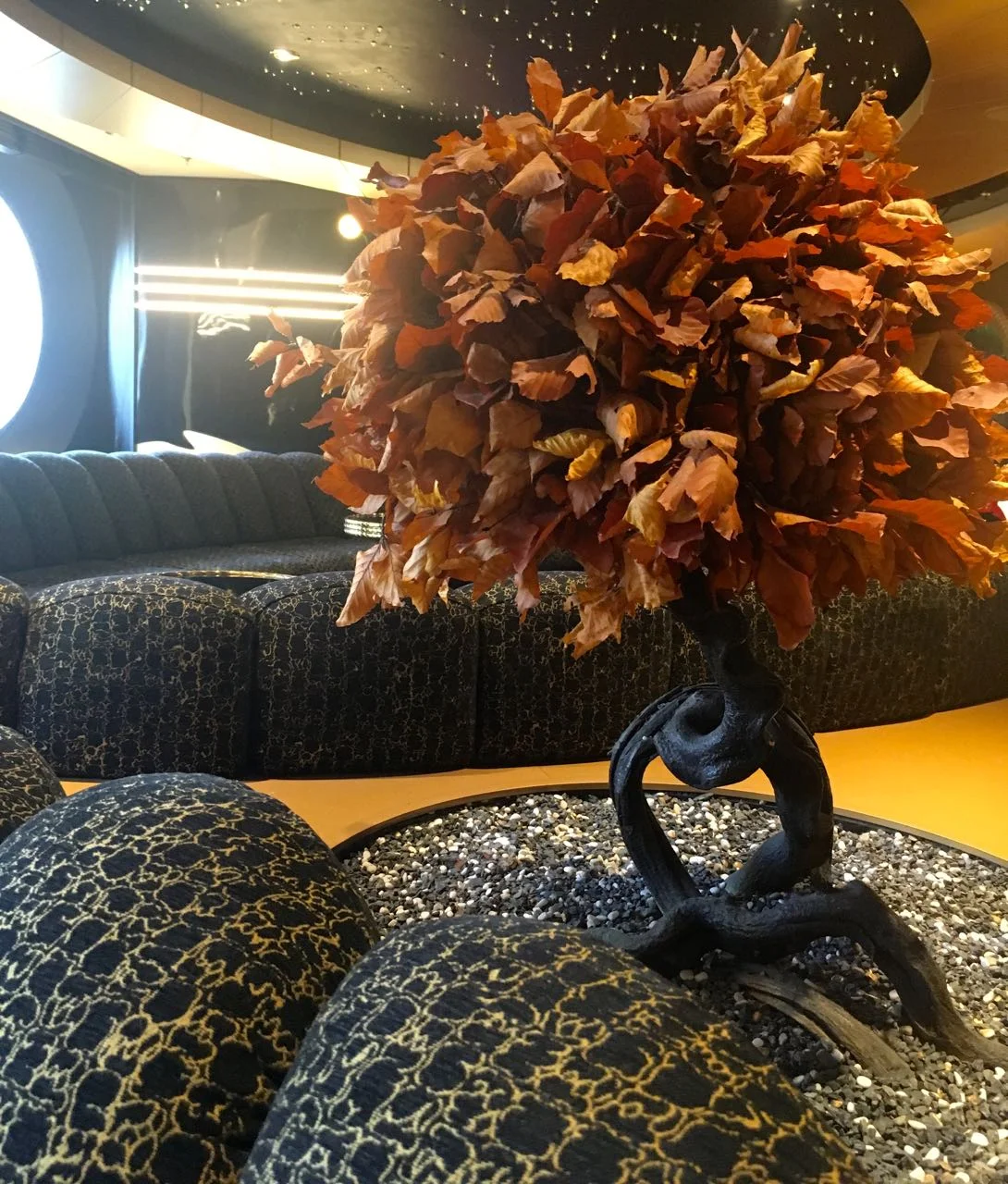 A bonsai too on the MSC Preziosa