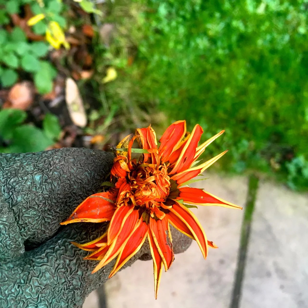 a burst of faded colour