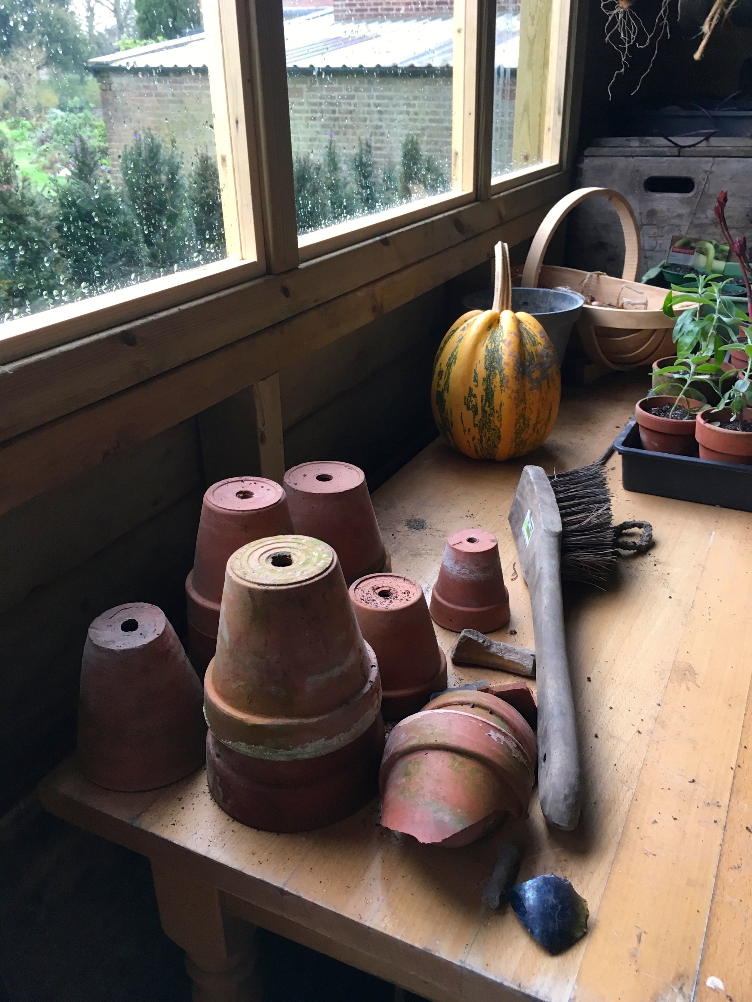 in the potting shed at Max Gate in Dorchester