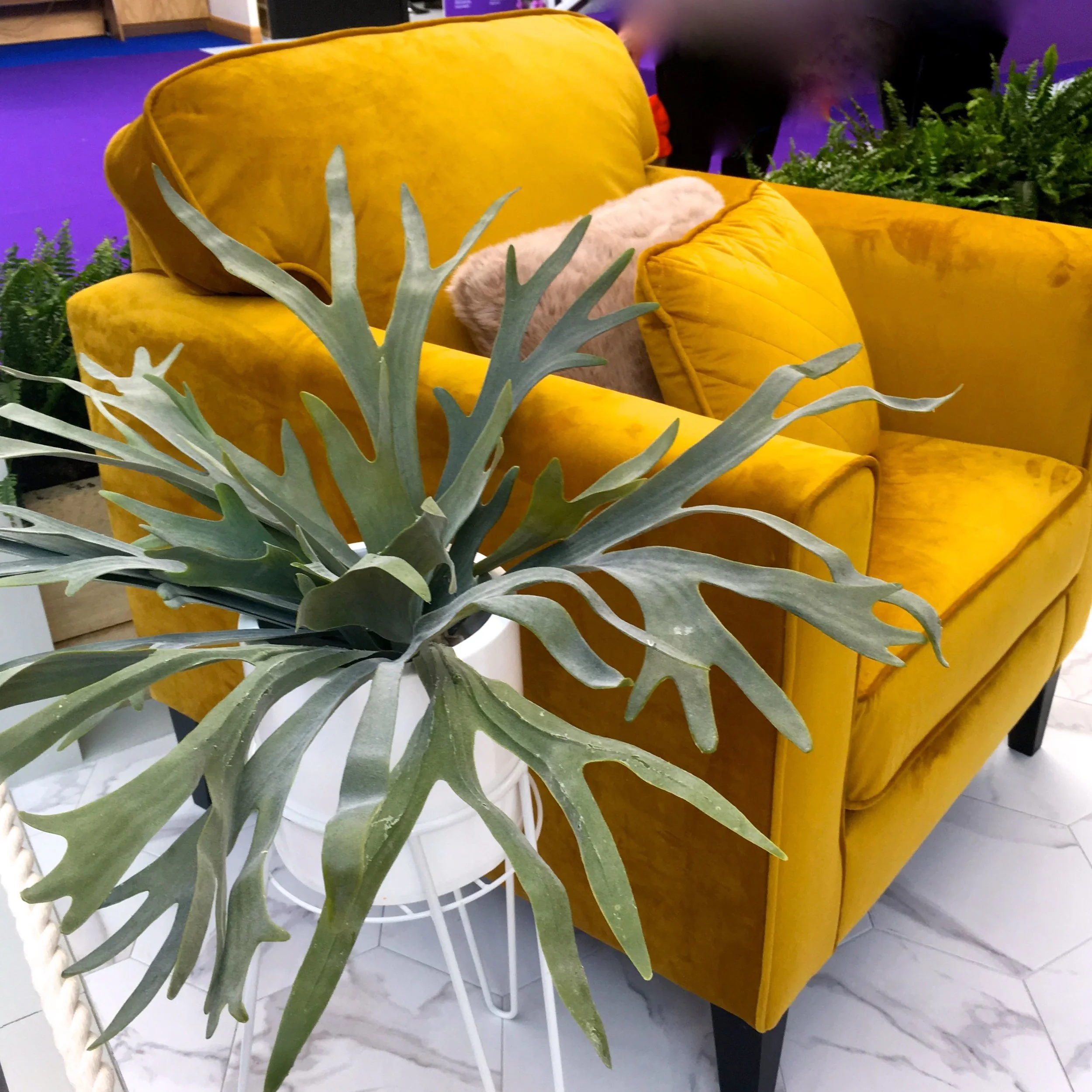 The bedroom room set at the Idea Home Show