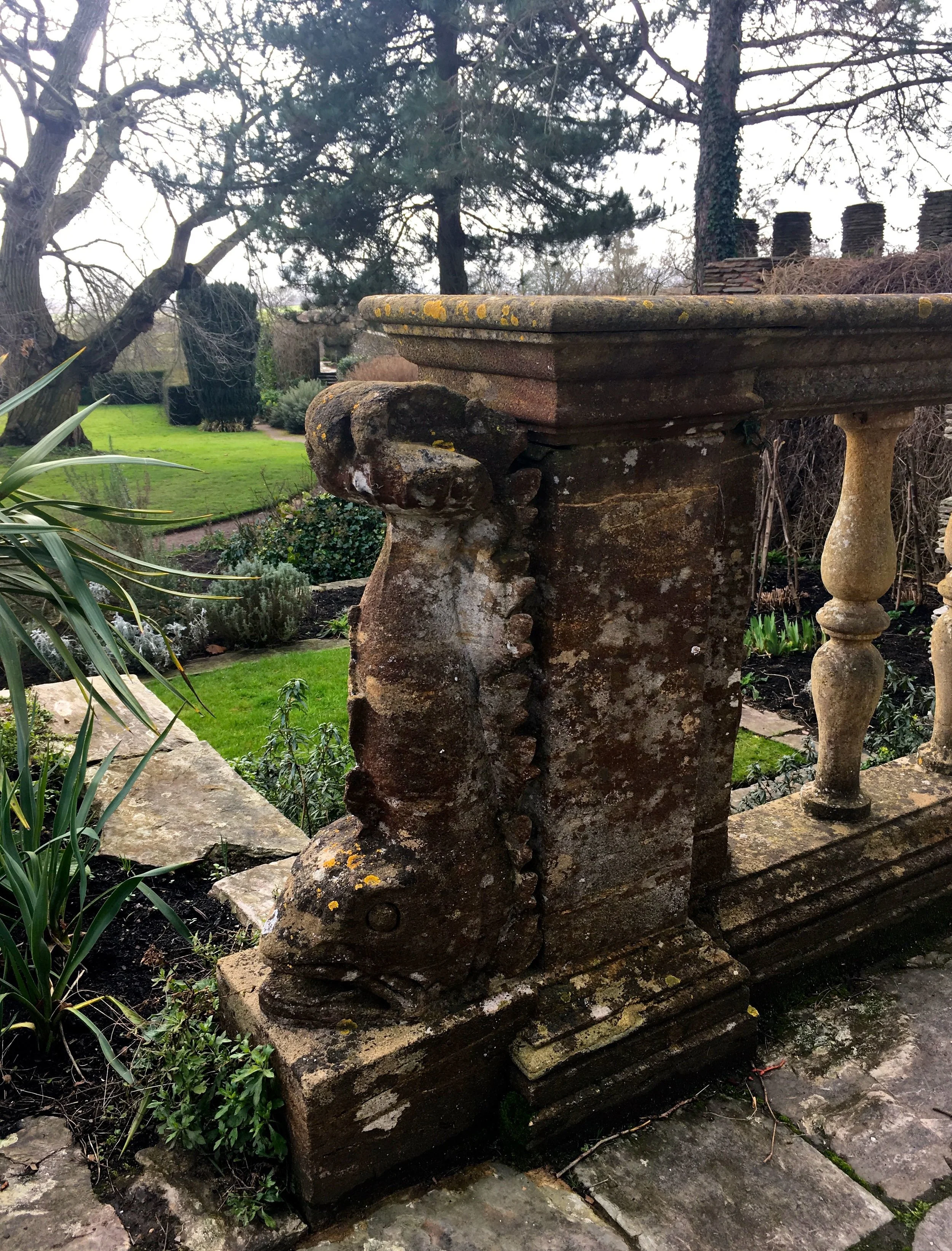 LOOK AT THAT LICHEN...