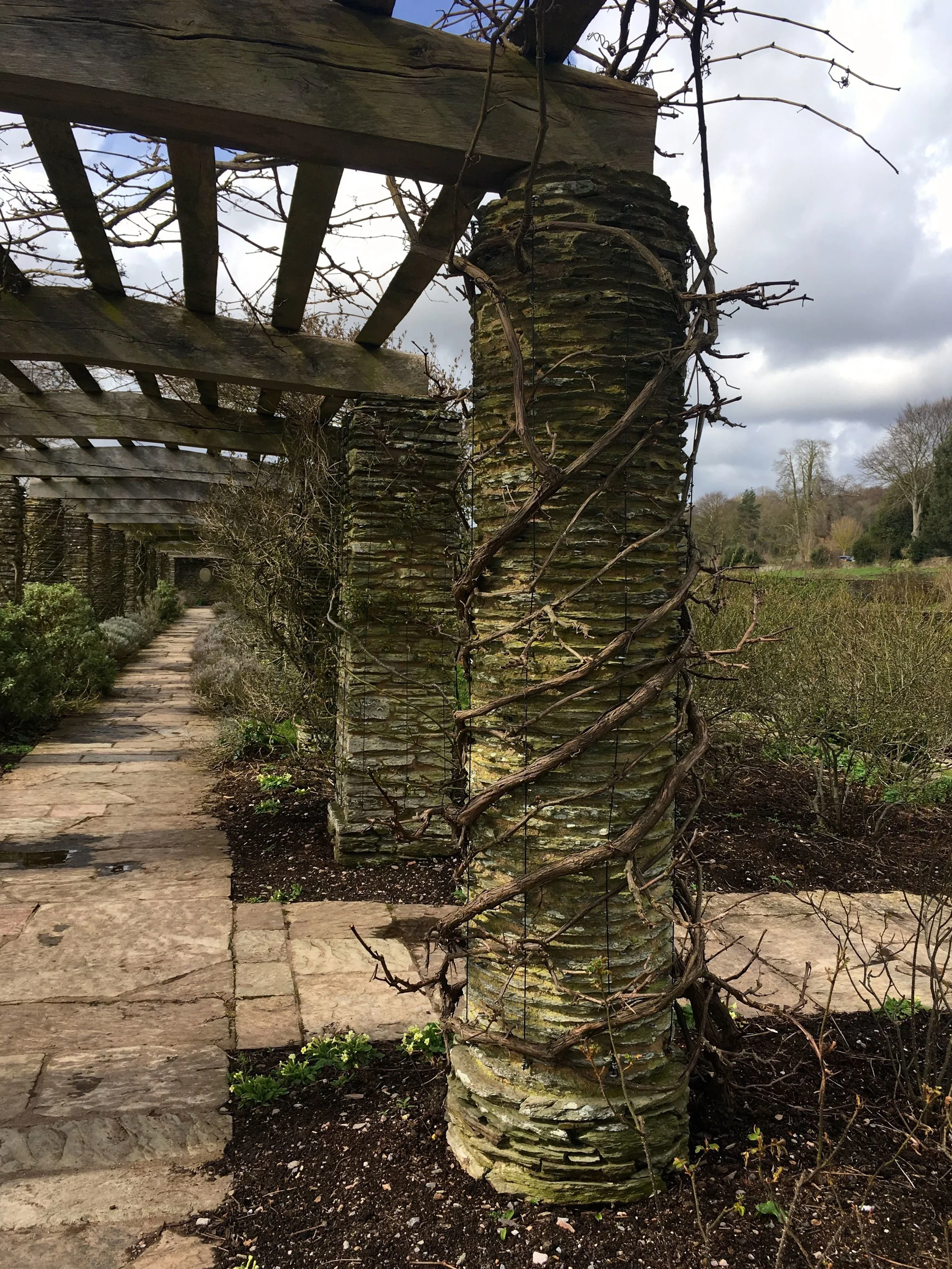 LOOKING ALONG THE PERGOLA