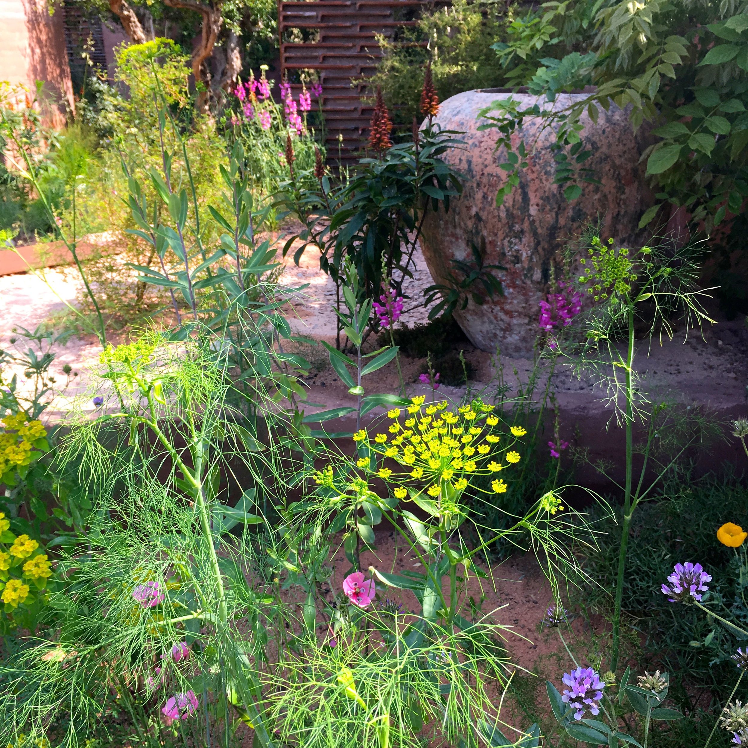 VIBRANT PLANTING IN THE GOLD MEDAL WINNING M&amp;G GARDEN