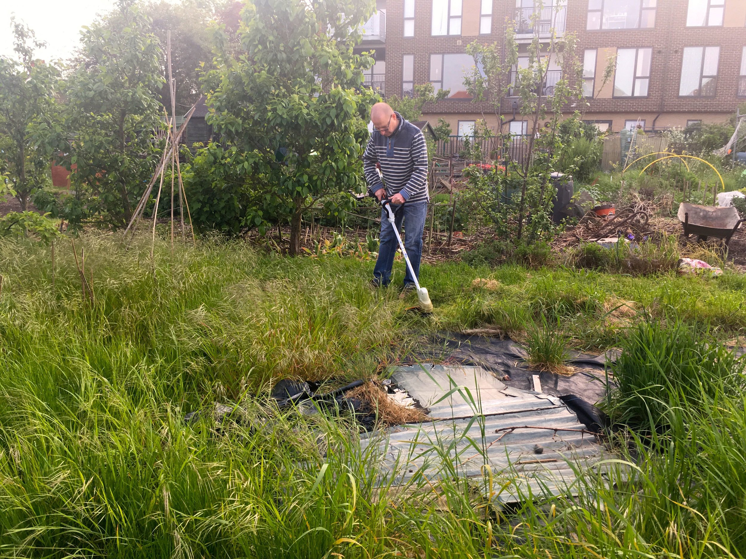 STRIMMING IN PROGRESS