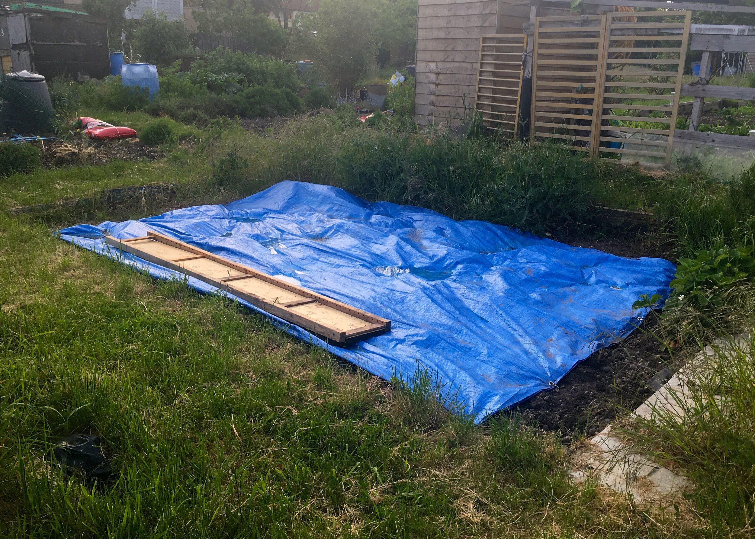 WEEDED, TAMED (FOR NOW) AND COVERED UP