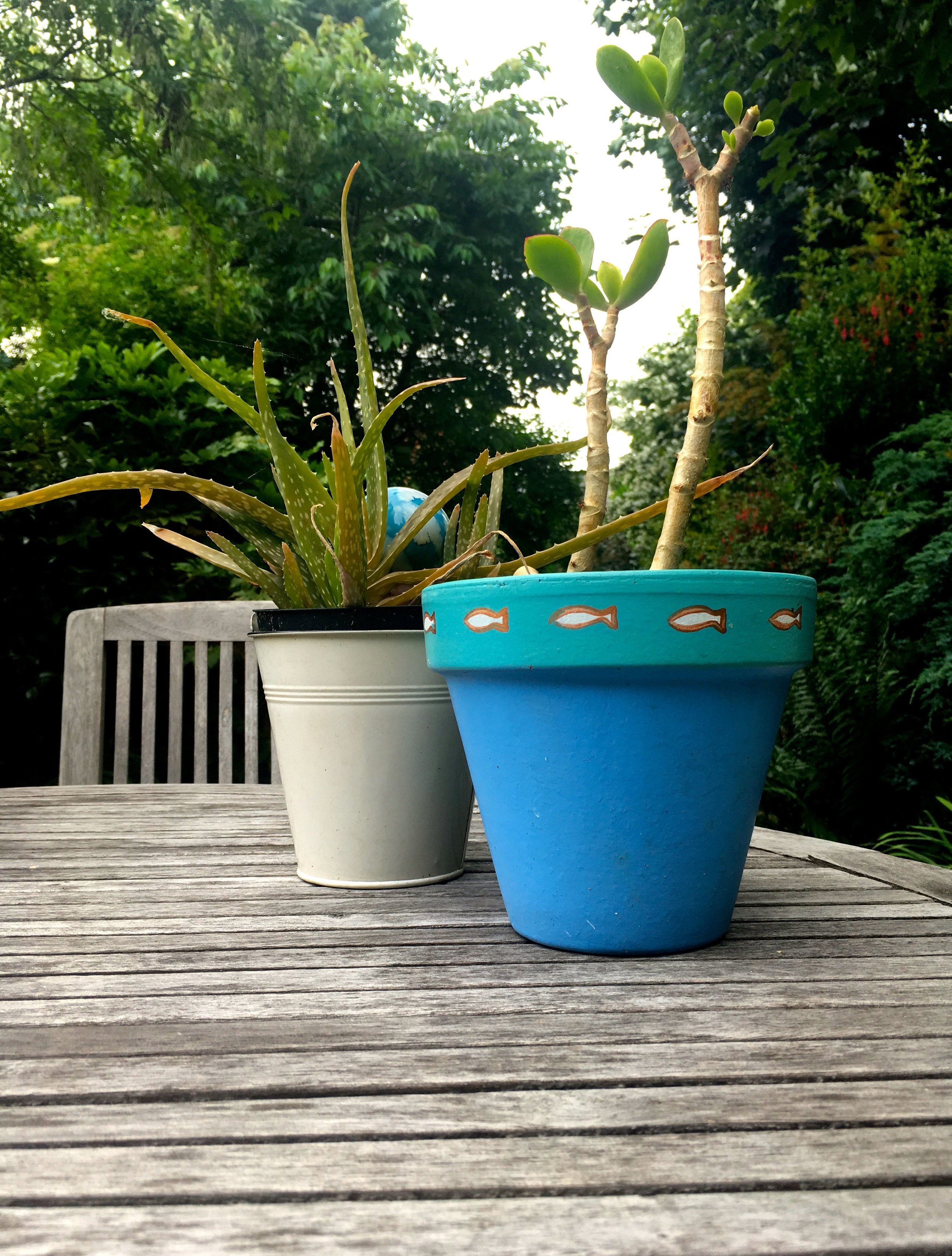 Our garden table complete with house plants enjoying the weather
