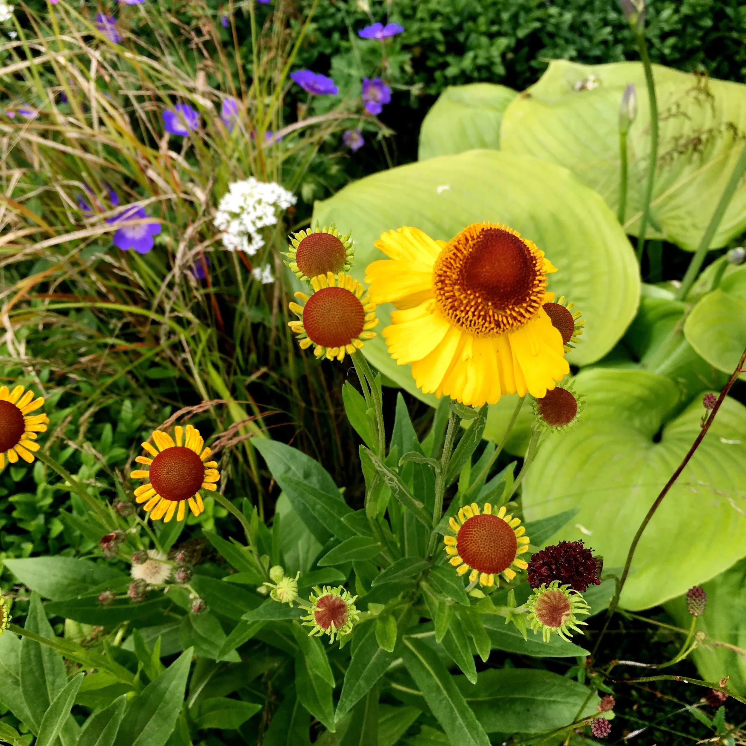 A BREATH OF FRESH AIR ON THE APL AVENUE