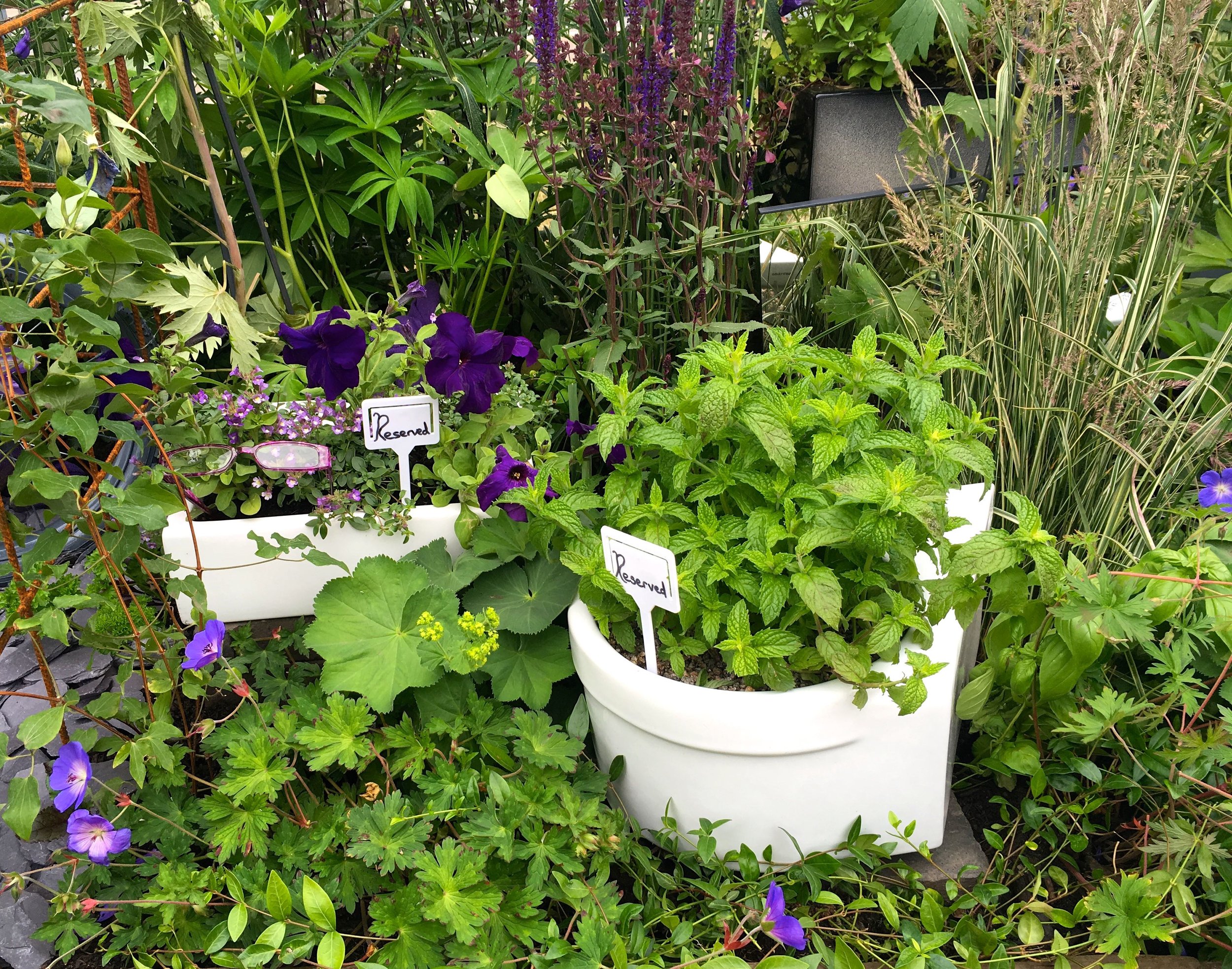 herbs in porcelain