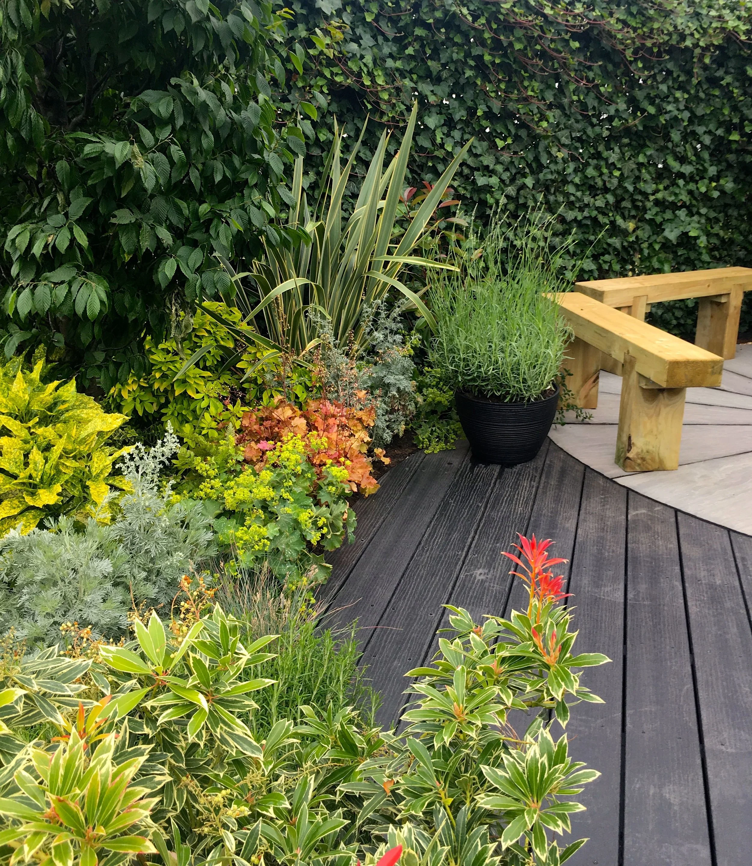 planting in The Round Garden at Gardener's World Live