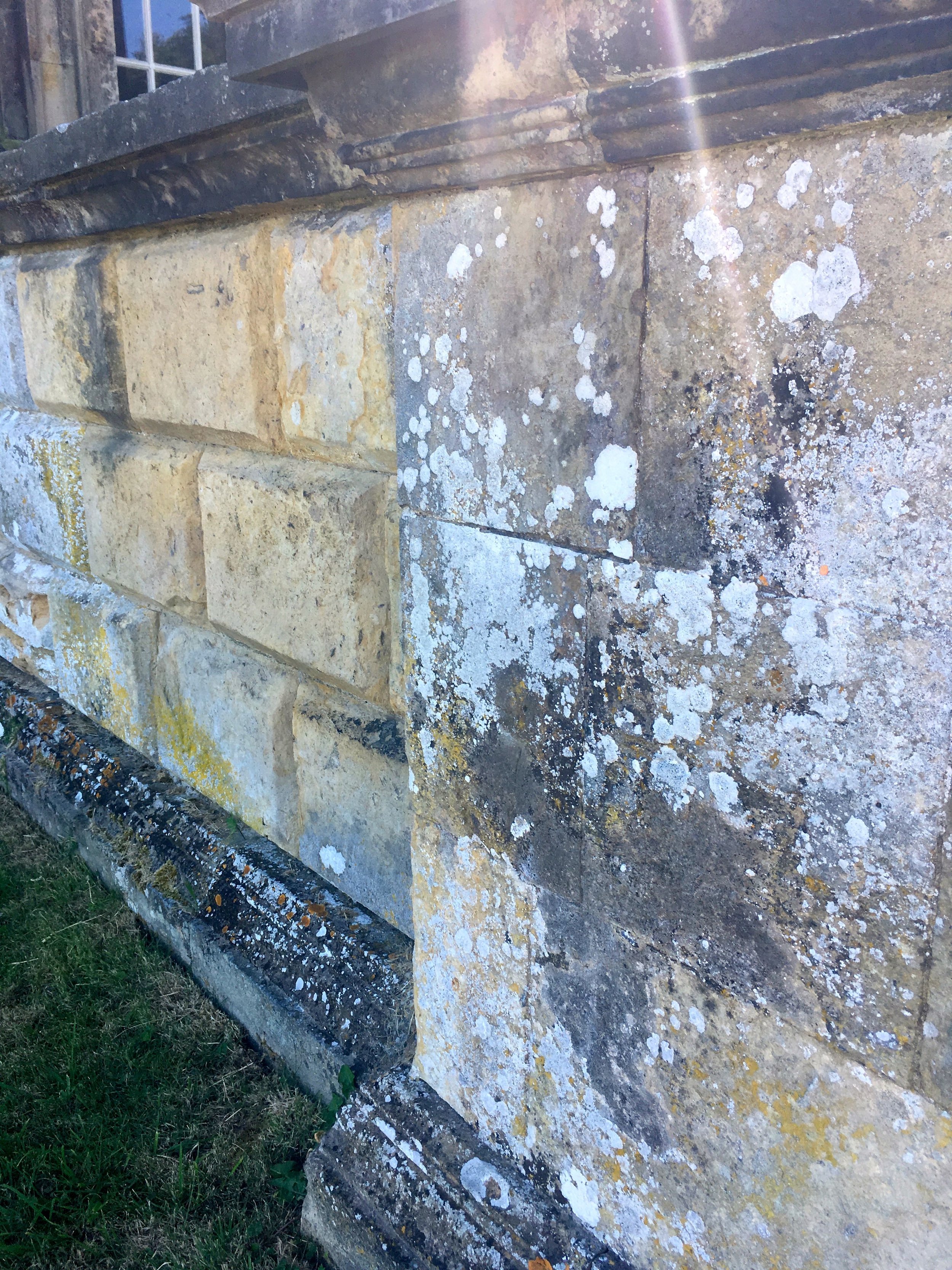 lichen - you know how much I liken them