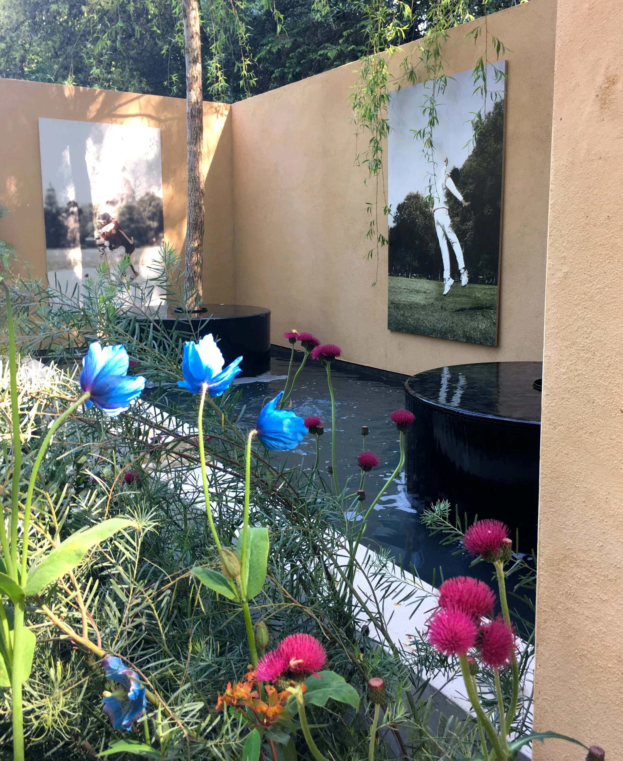 A side view of the planting and the rear of the garden