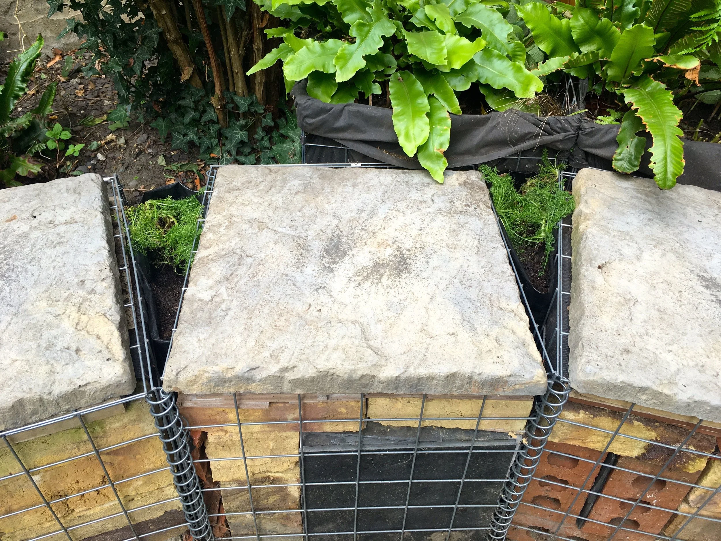 Some triangular planting — Bosworth Life