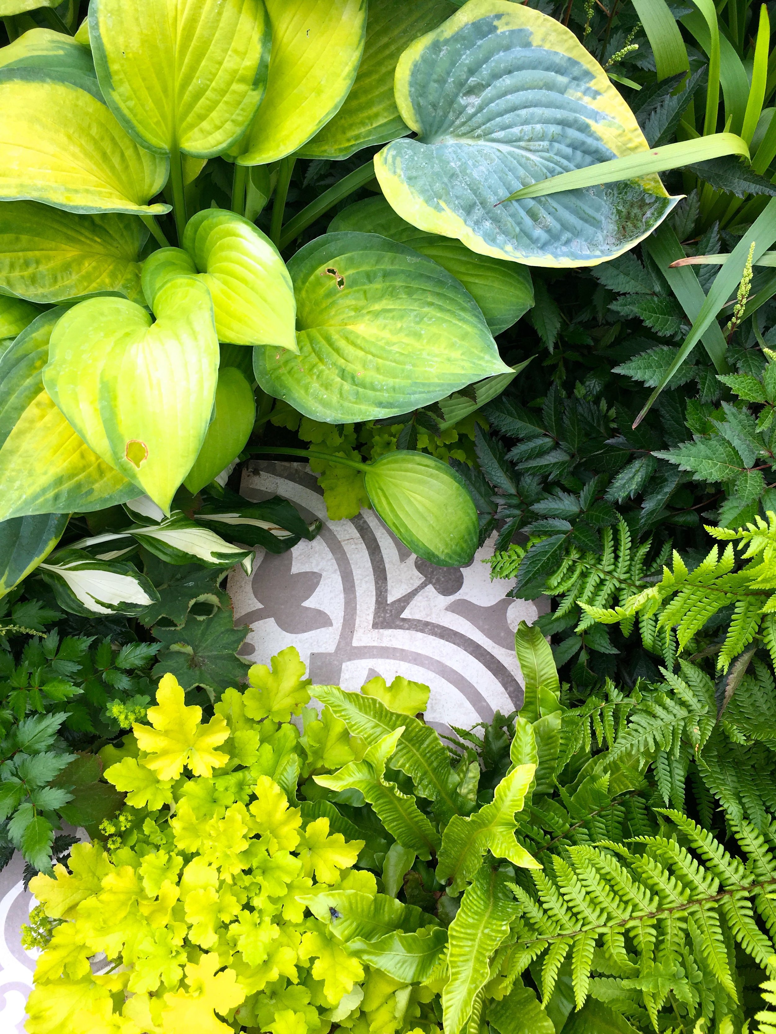 spot the tile amongst the greenery