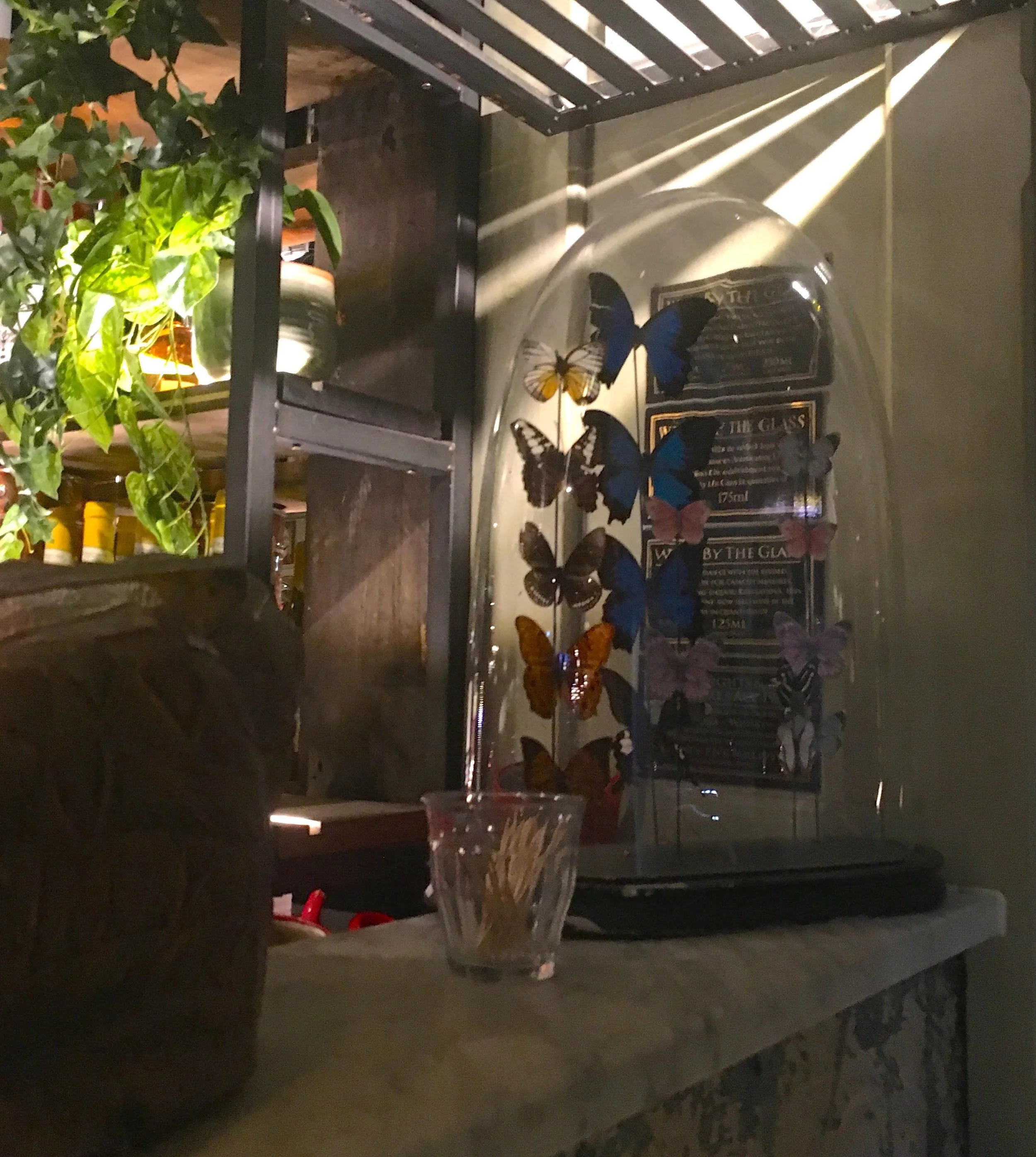 BUTTERFLIES TOO