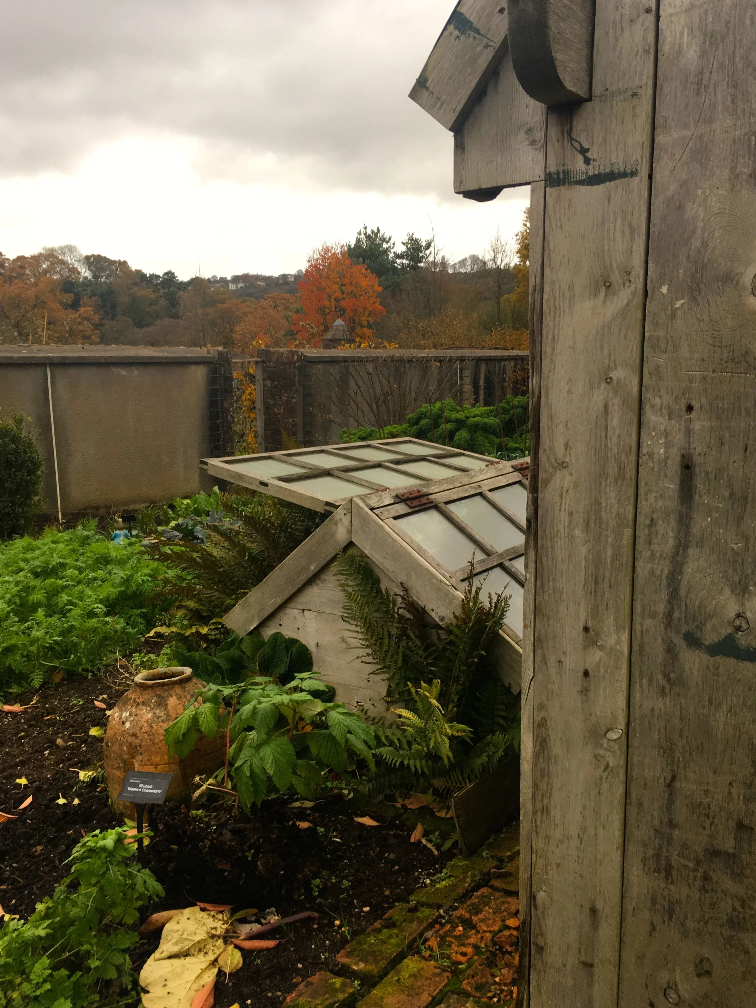 He has a cold frame on the side though