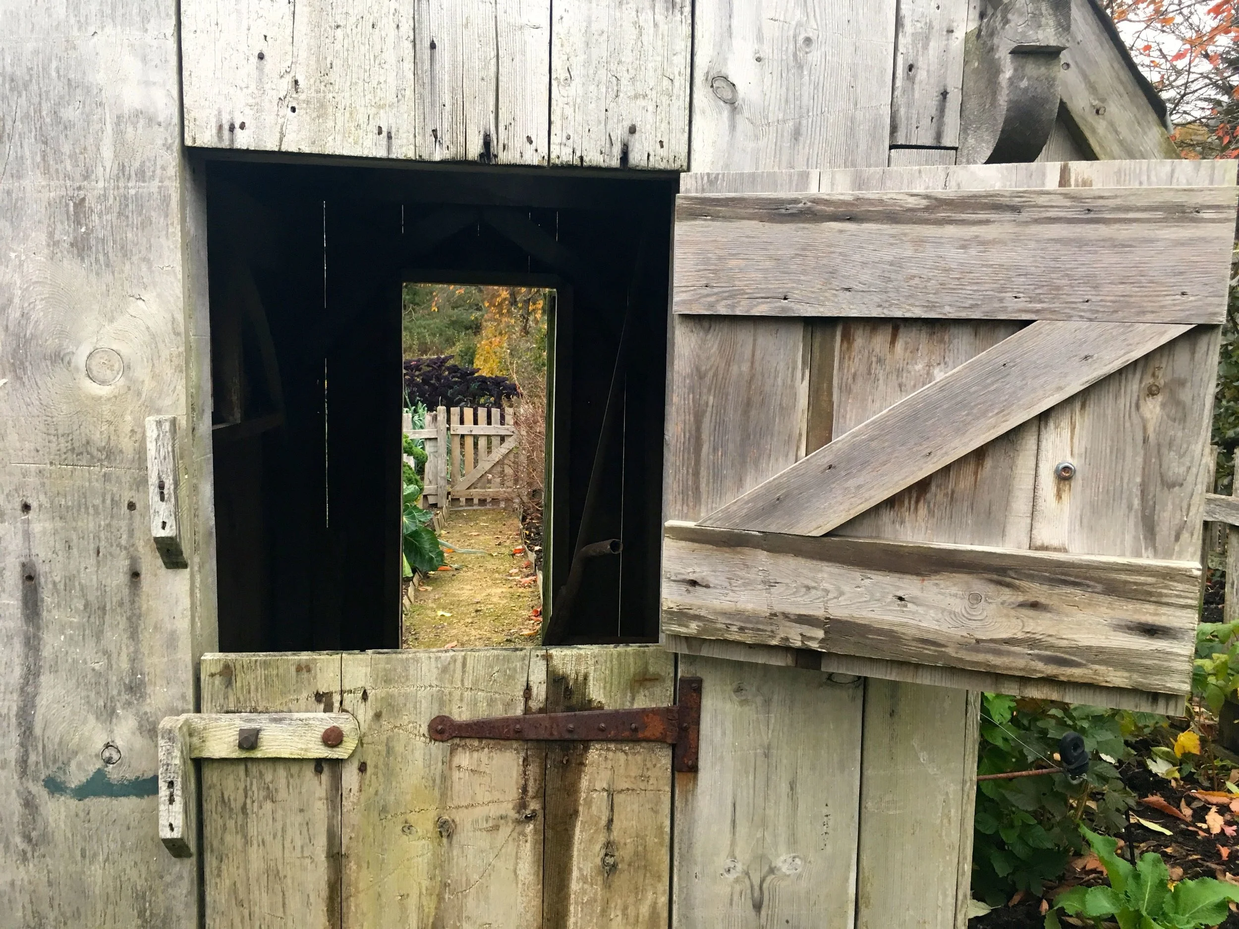 Looking straight through the shed