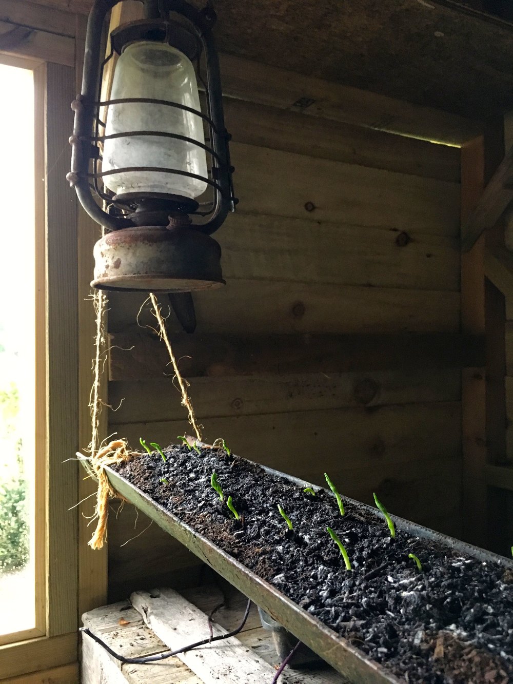 FEBRUARY: THE MAX GATE GARDEN