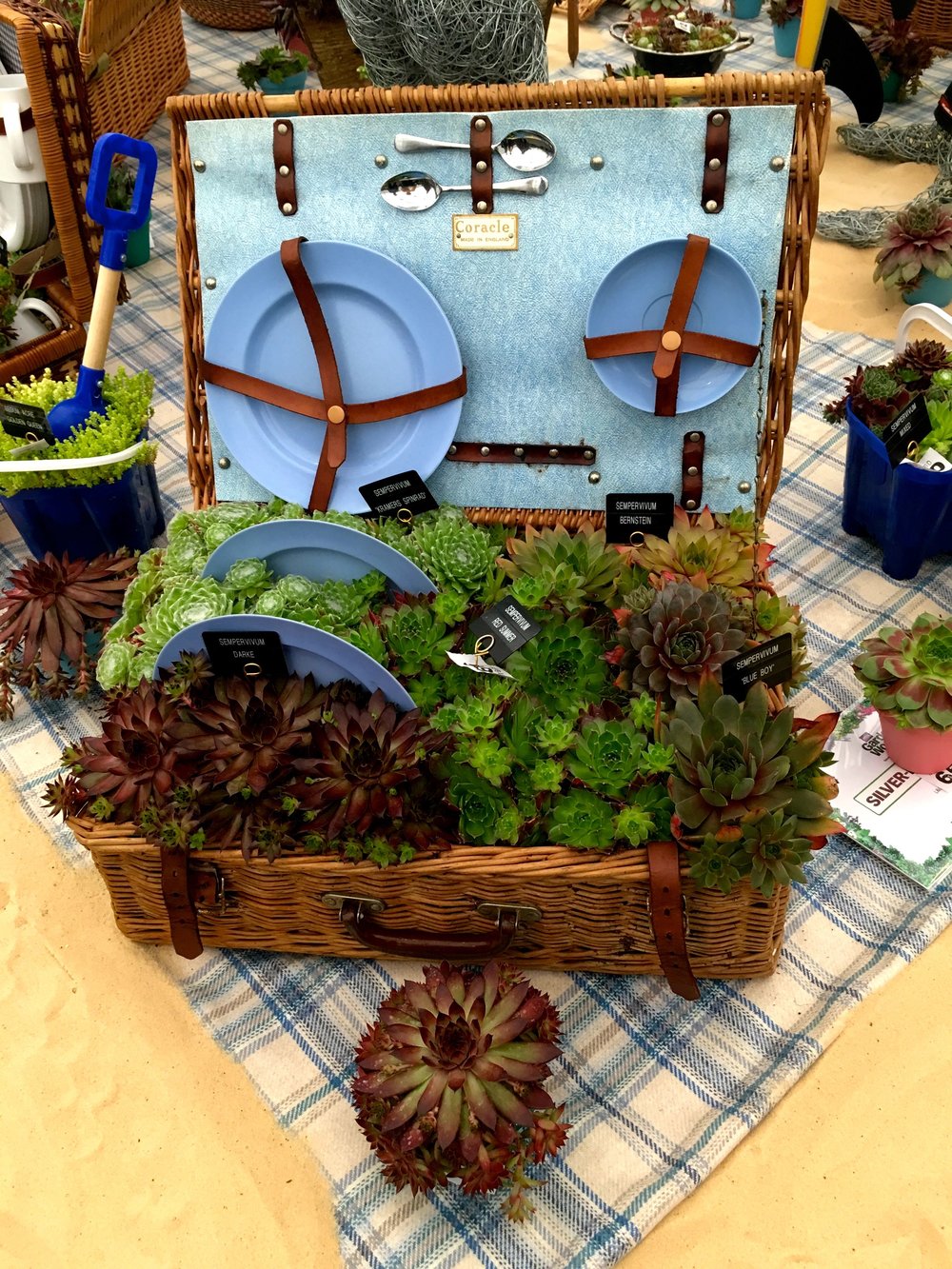 JUNE: A SUCCULENT PICNIC