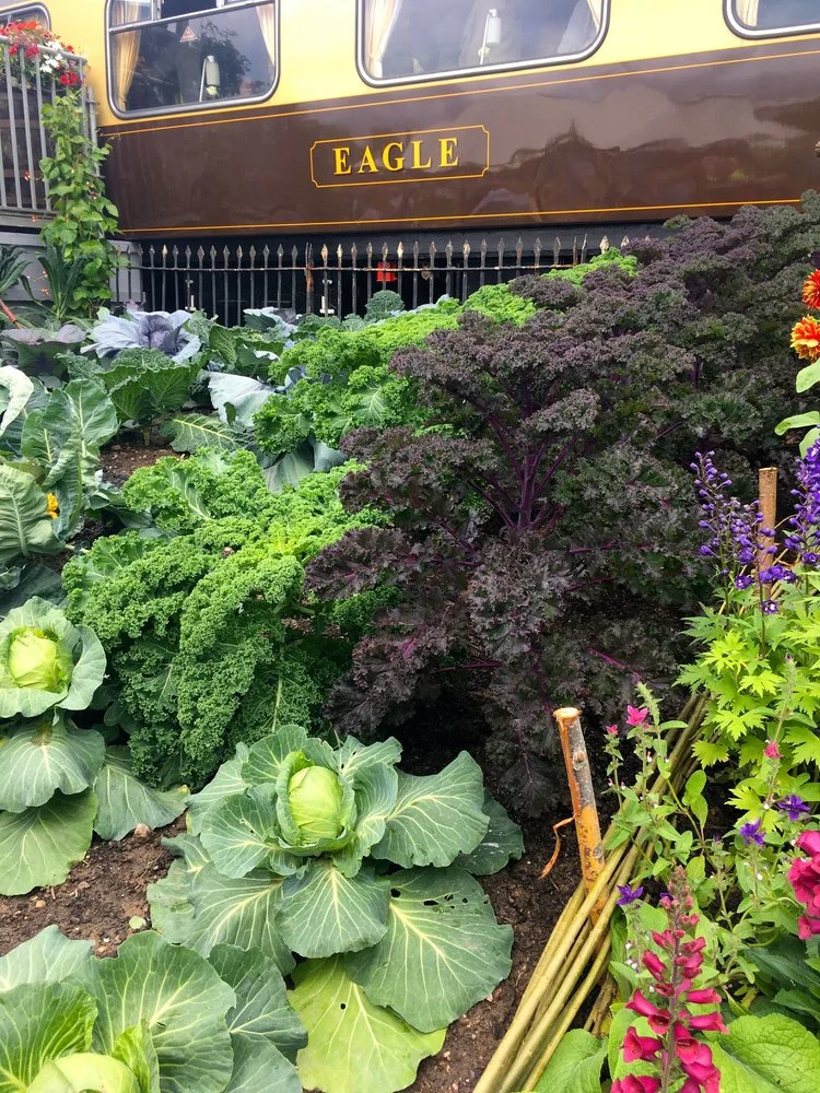 JUNE: HIGHLIGHTS FROM A DAY AT GARDENERS’ WORLD LIVE