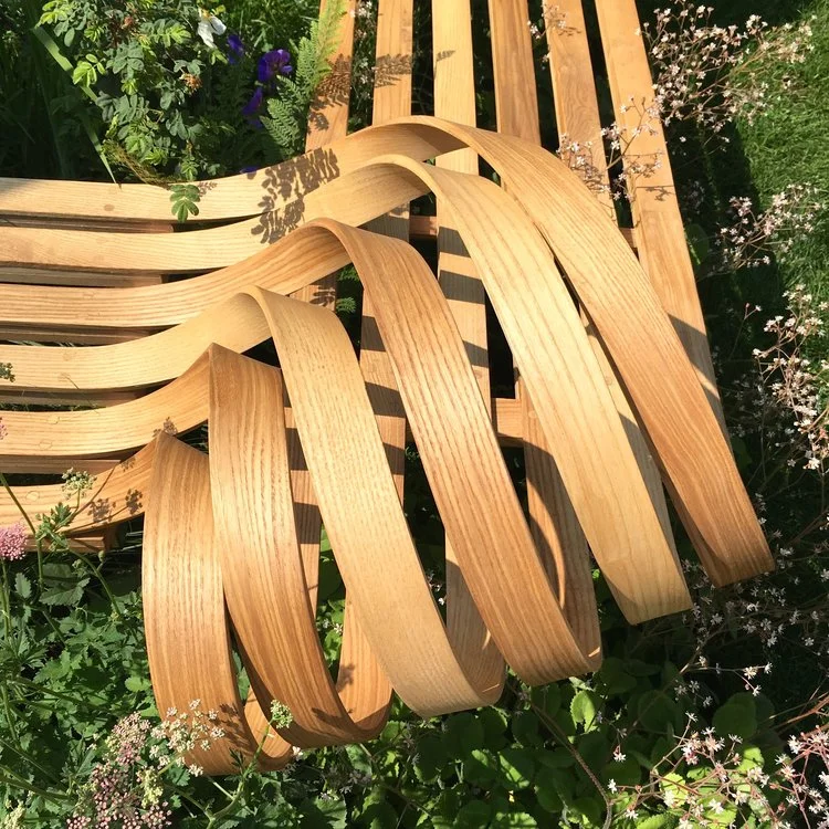 JULY: ADMIRING THE CURVE