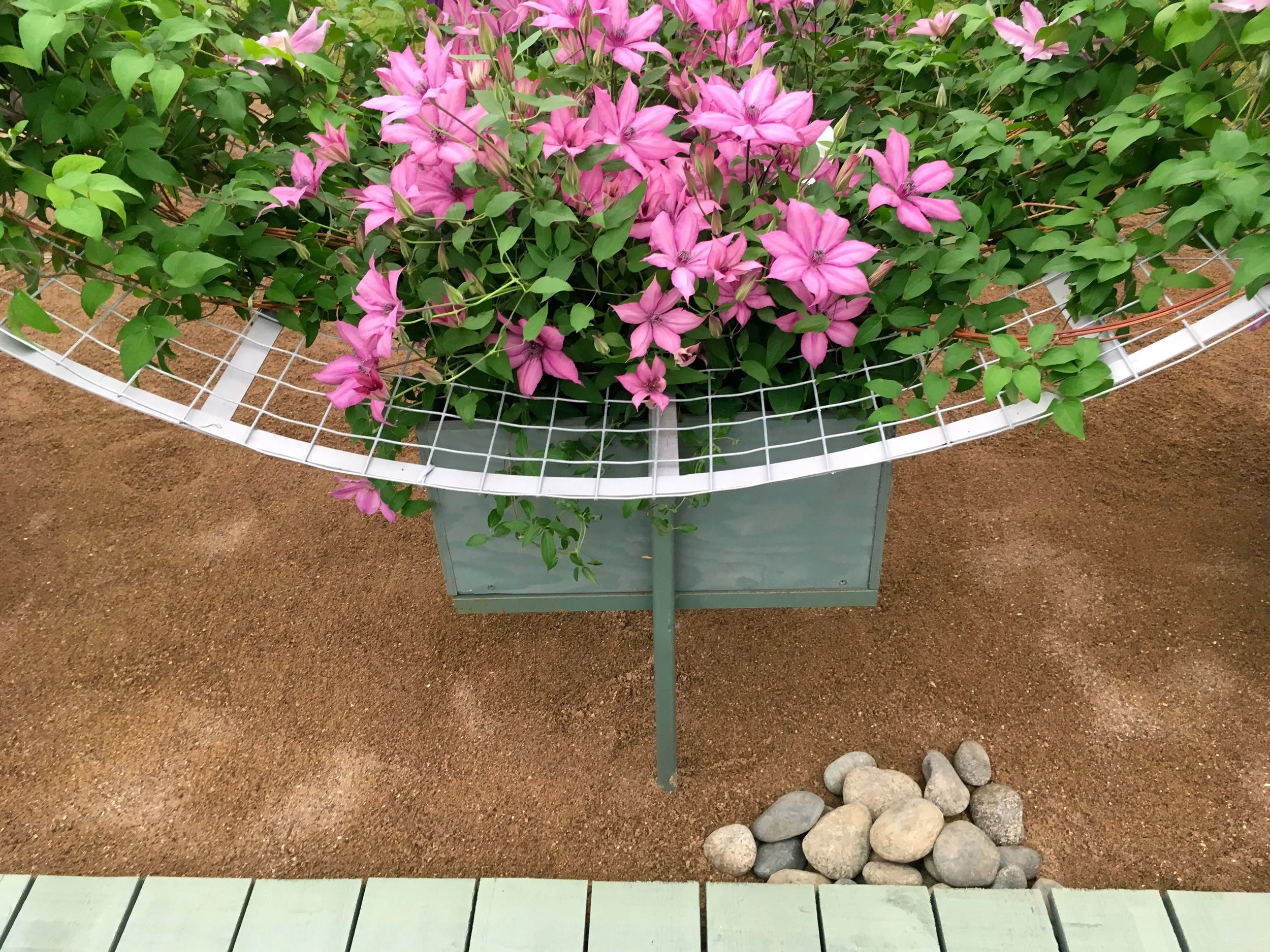 A closer look at one of the waves