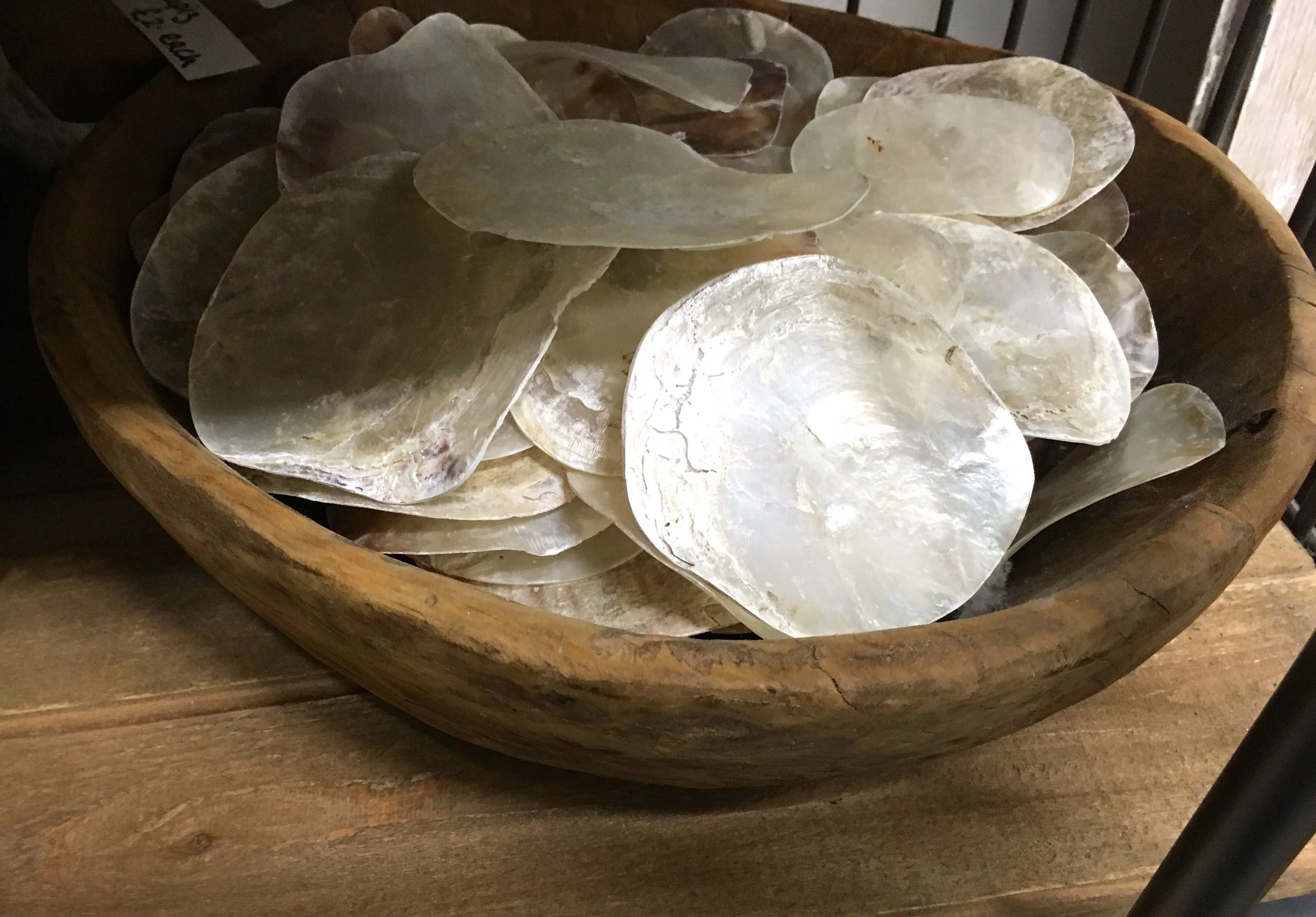 mother of pearl shells