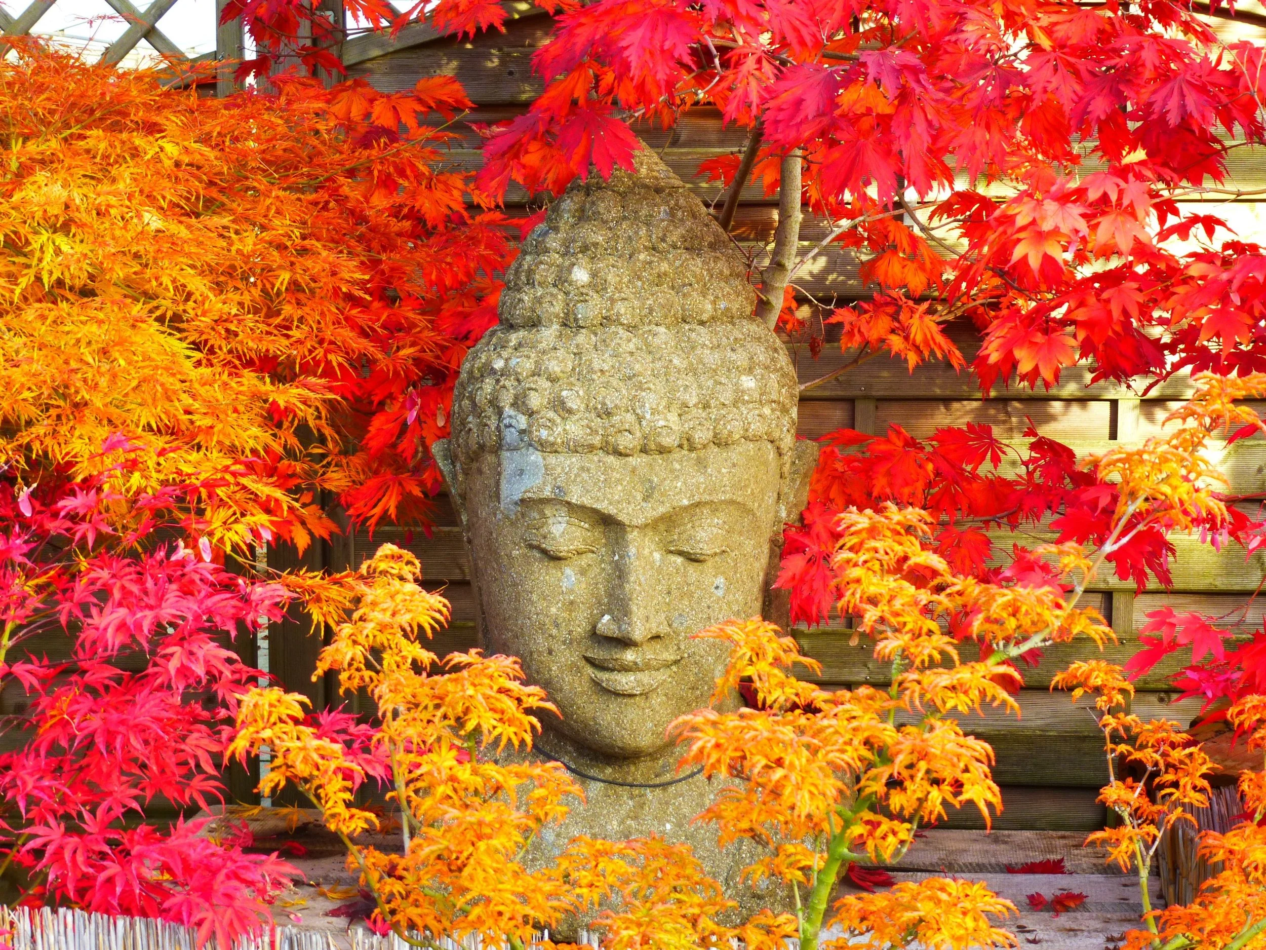 'Get creative with colour' this April