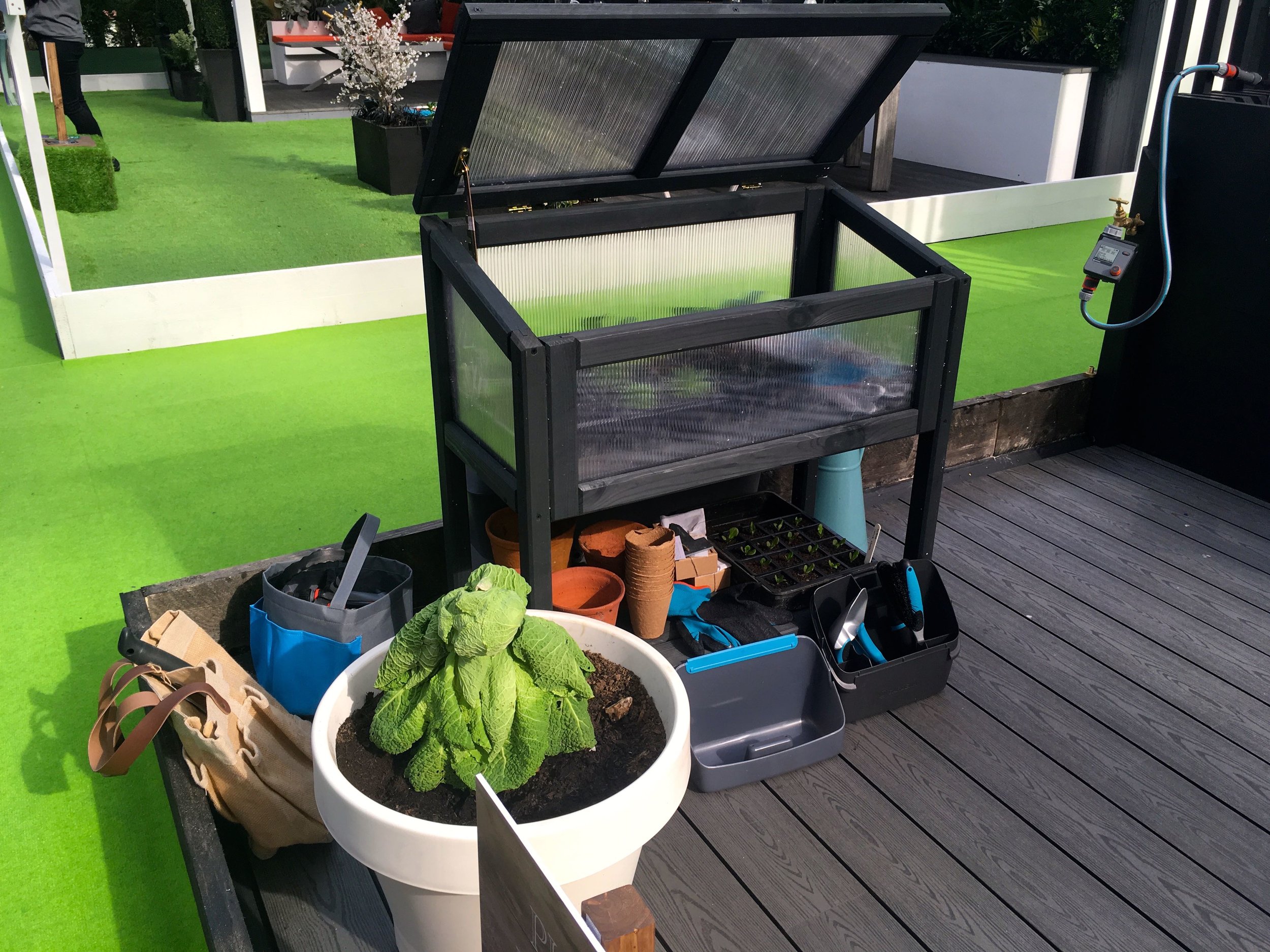 A cold frame for seedlings