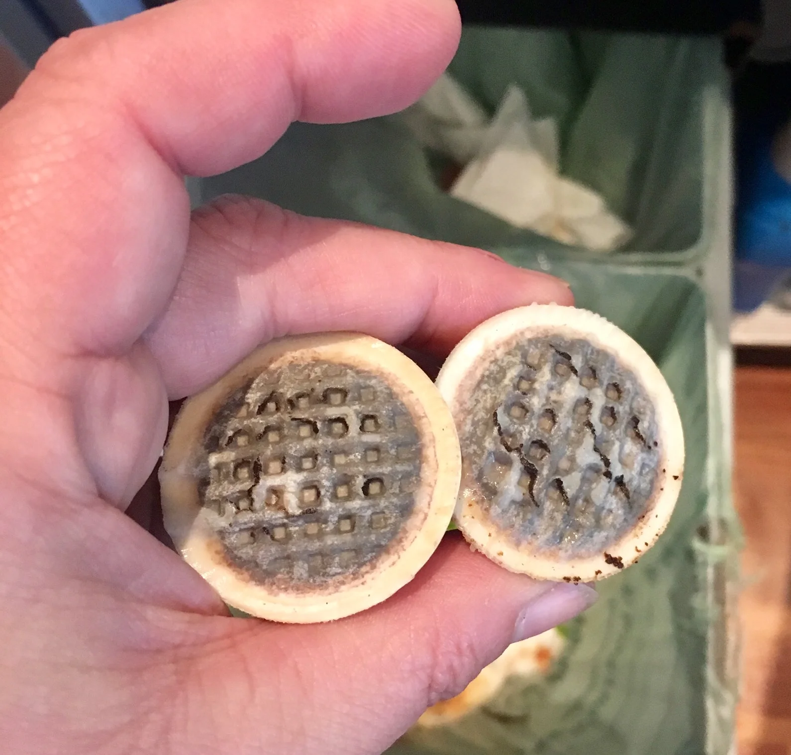 FullSizeRender.jpg