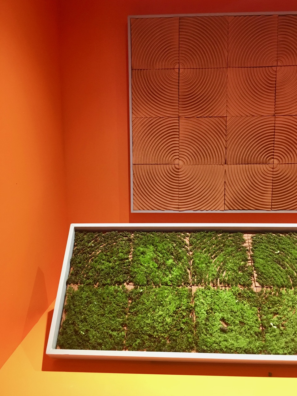 naked and mossed moss tiles