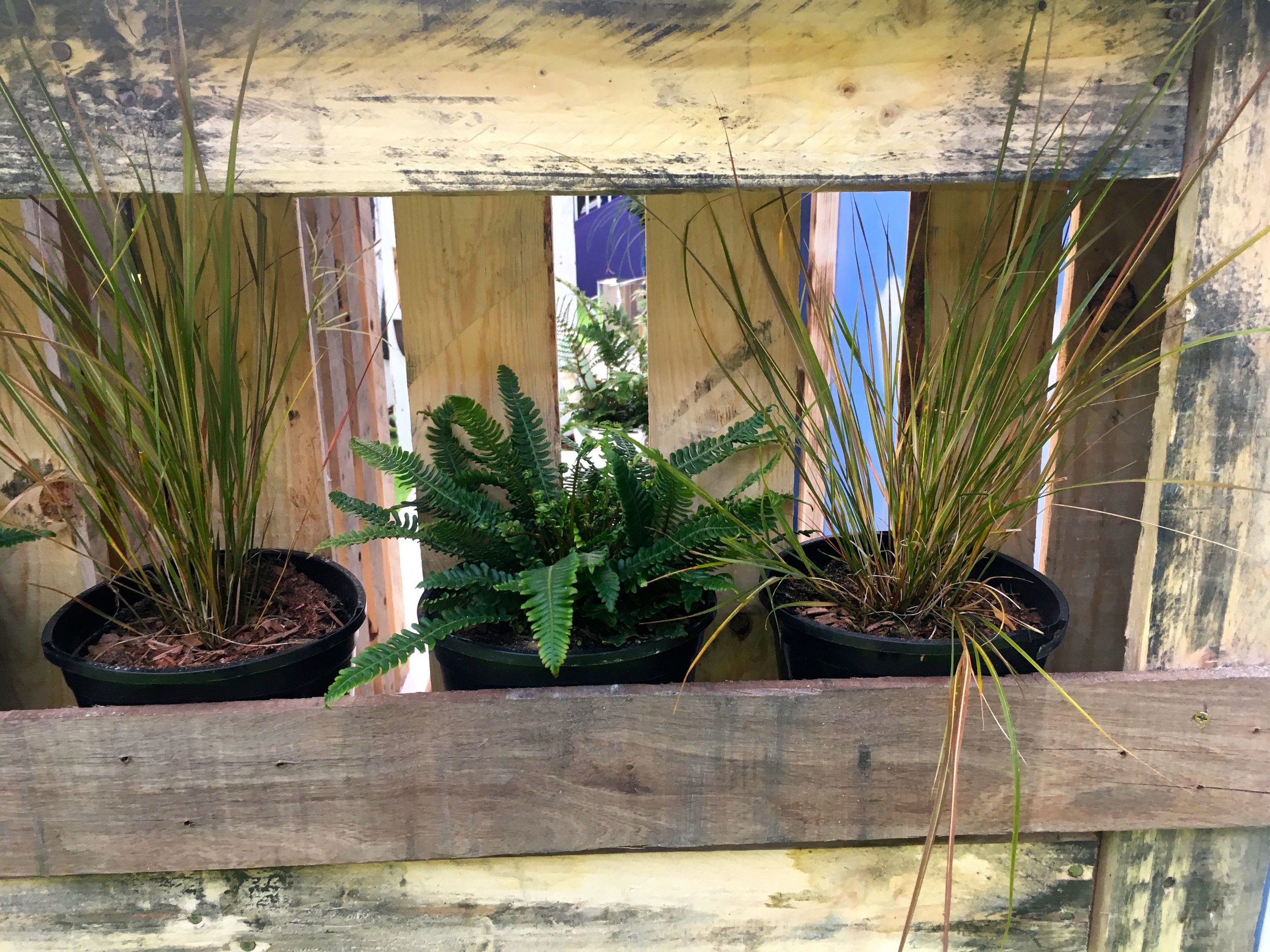 A pallet as a planter in the Ideal Home Show