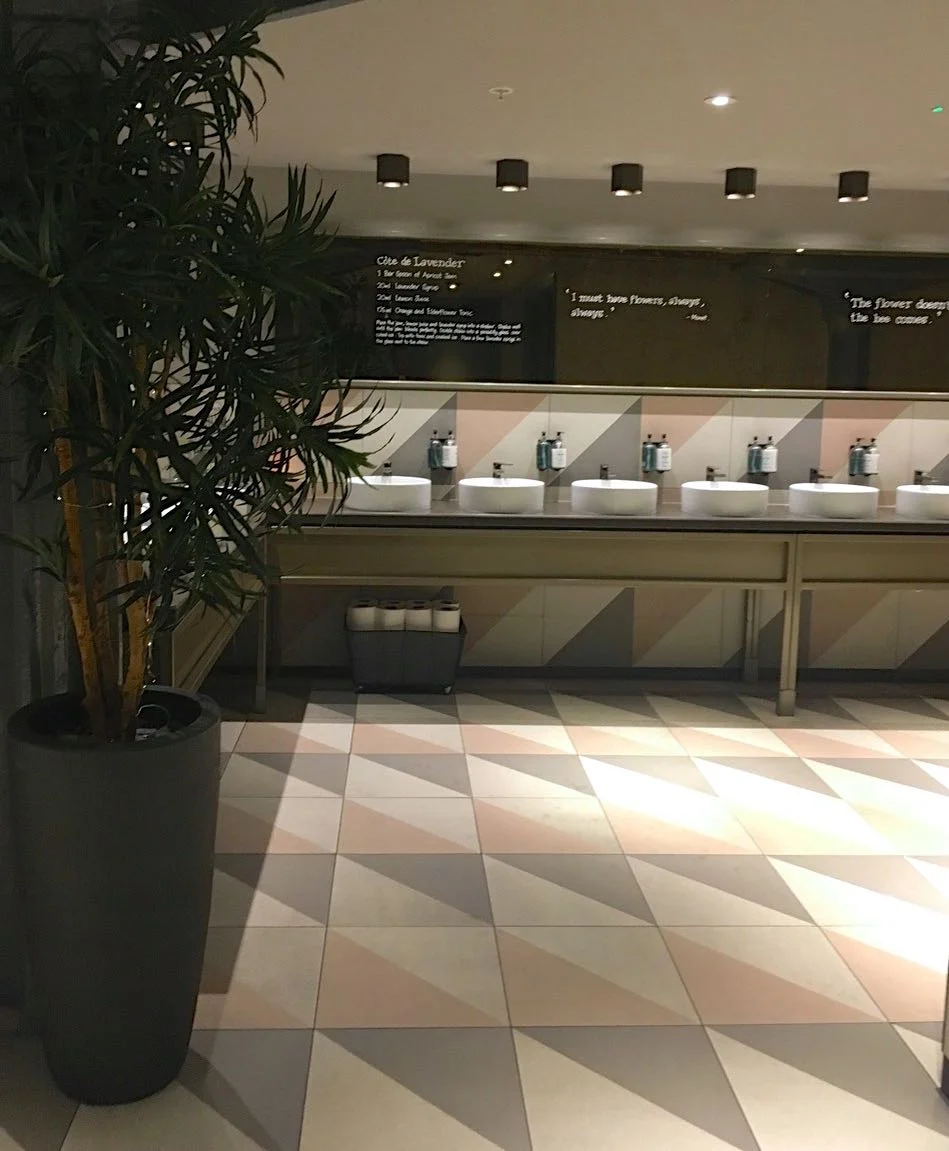rows of basins against geometric tiles