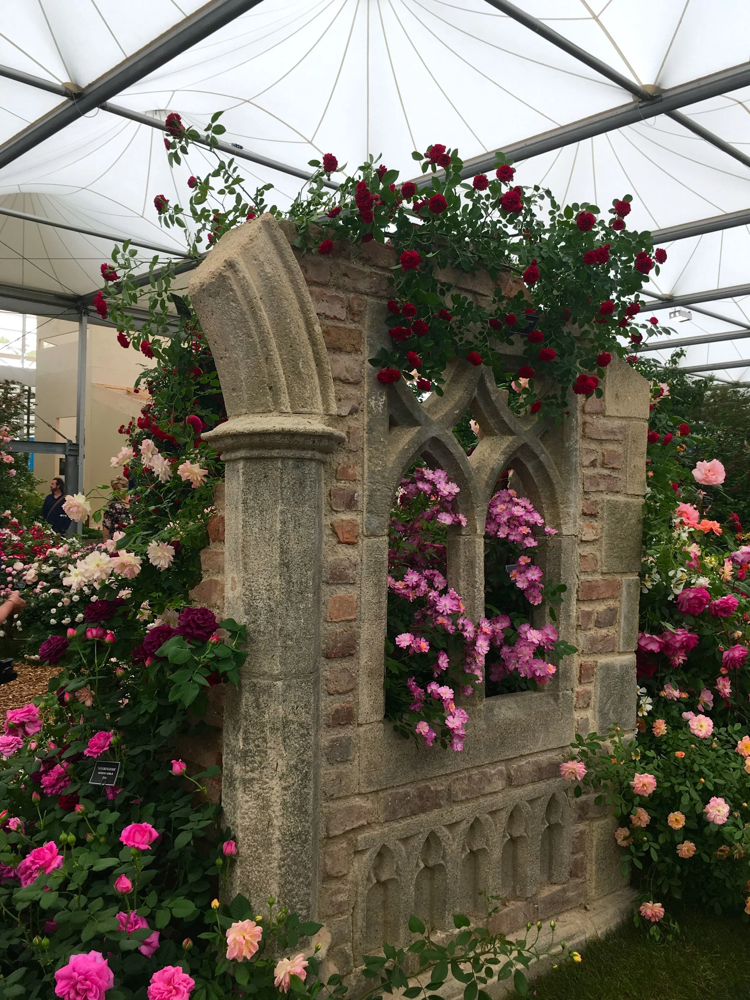 roses and ruins couldn't look any prettier