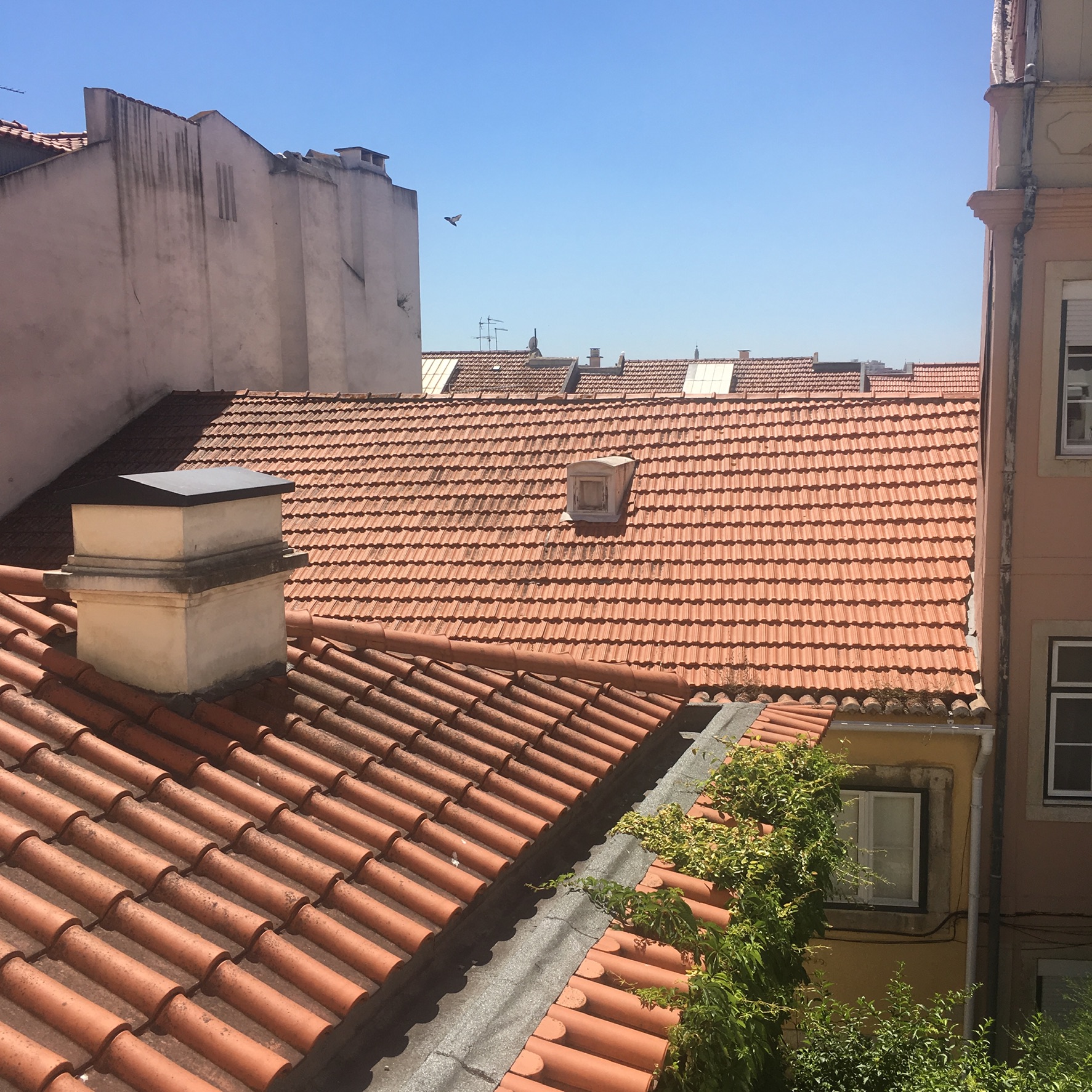 THE VIEW FROM OUR APARTMENT  