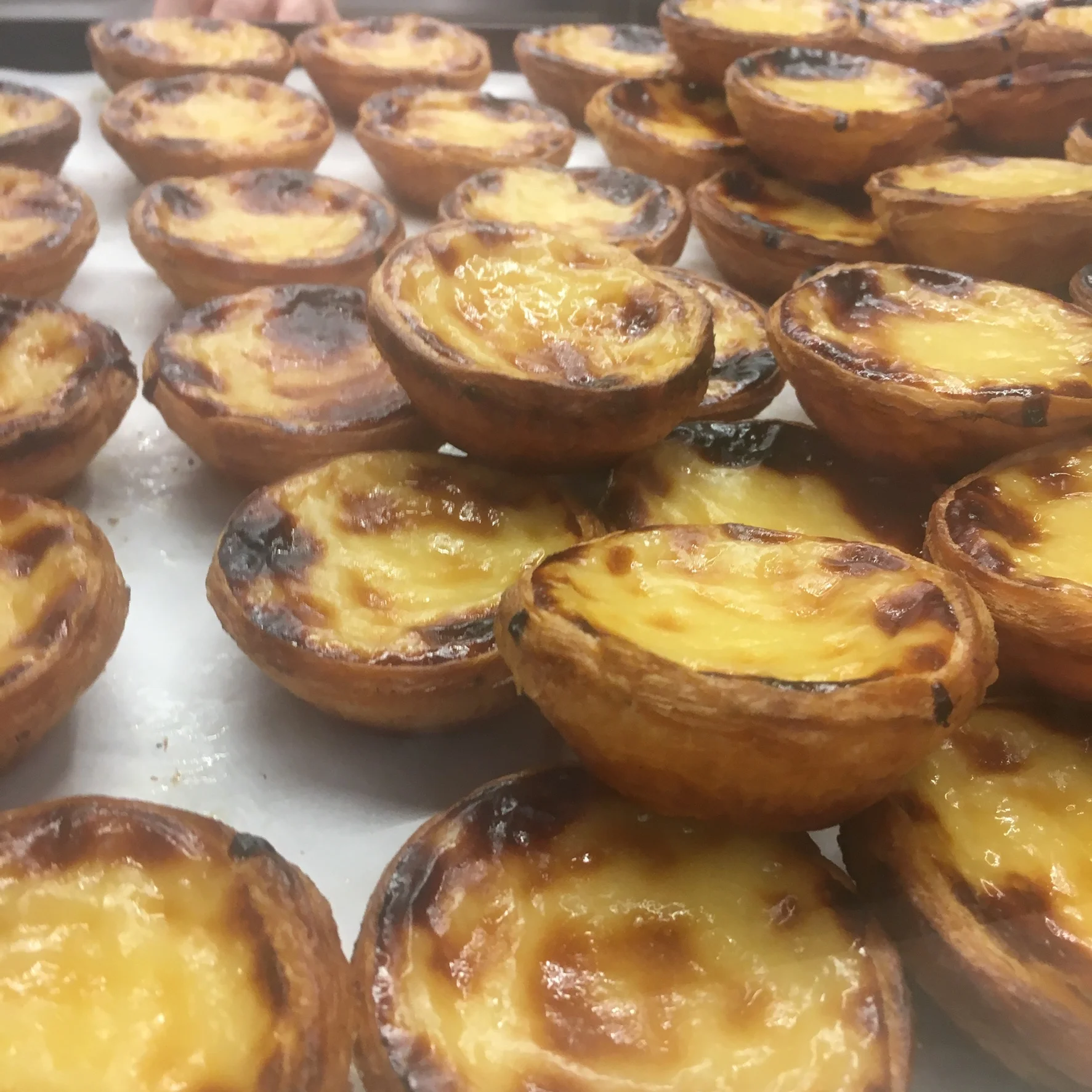 PASTEL DE NATA